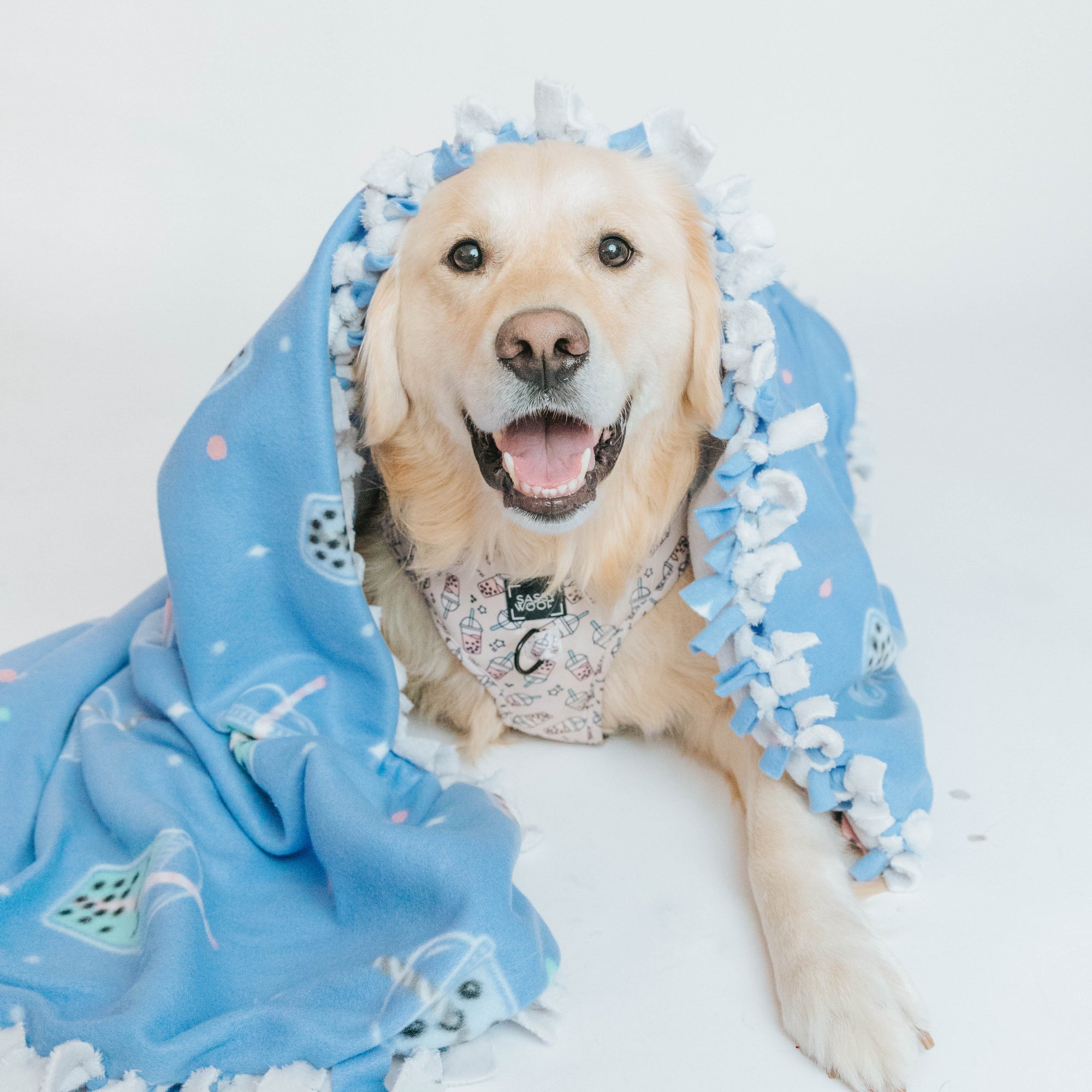 Pup Project: No-Sew Fleece Blanket