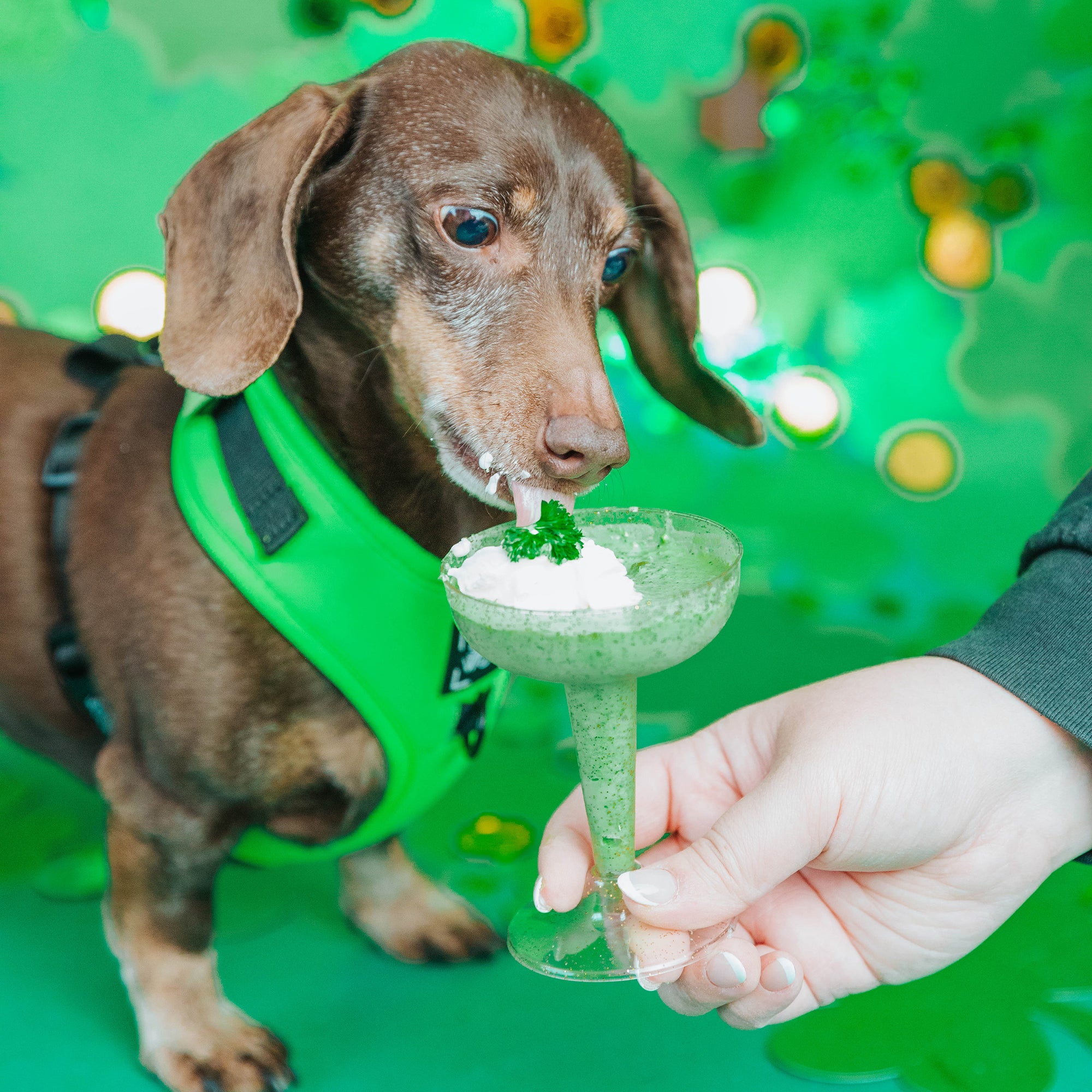 Pup Project: Dog-Friendly St. Patrick's Day Shake + Lick Mat