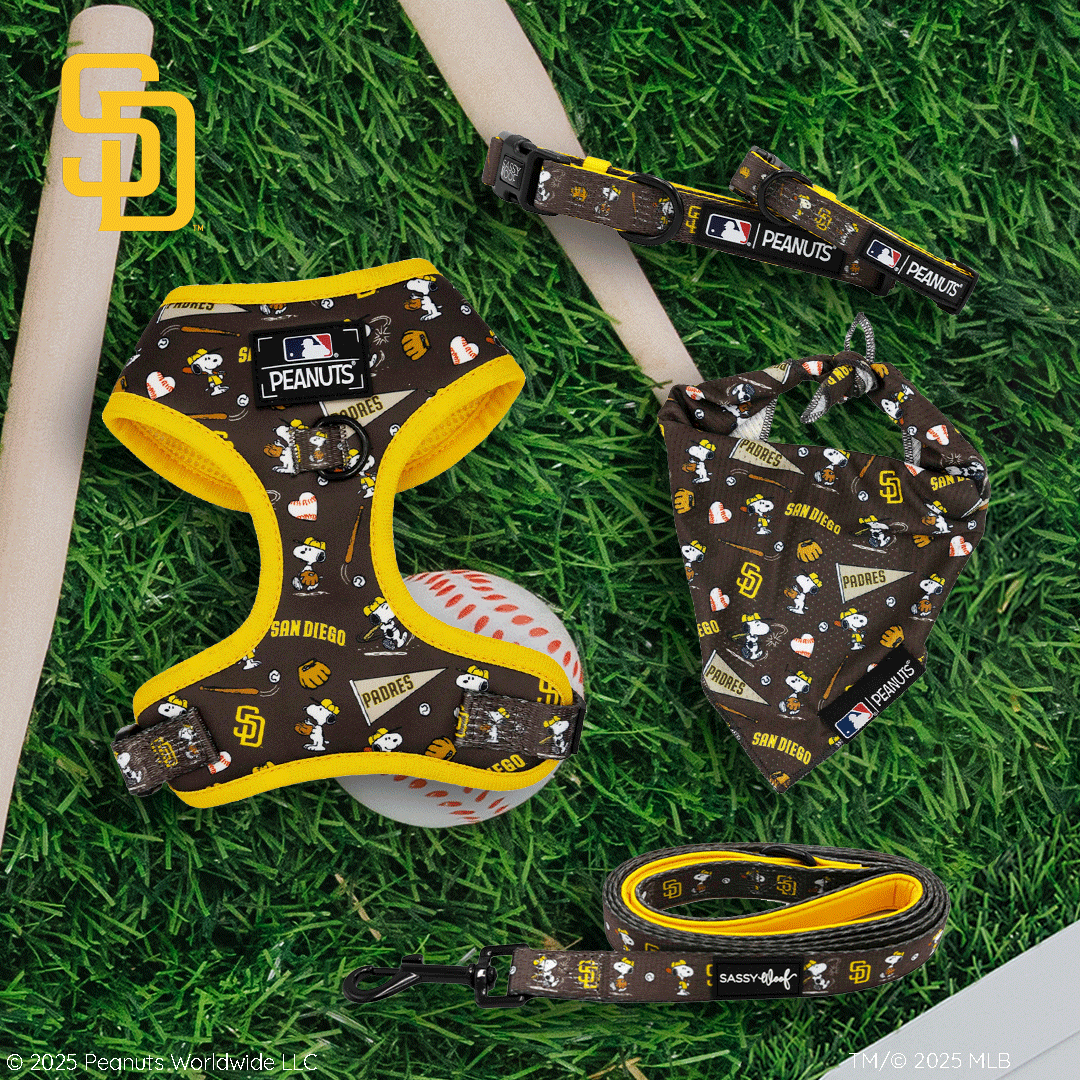 PEANUTS ウッドストック MLB サンディエゴパドレス SNOOPY MLB™ x Peanuts™ San Diego Padres | Sassy Woof Collection