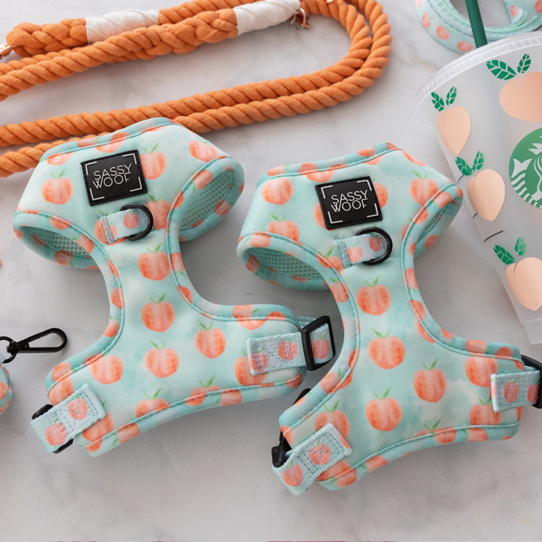 Peach Please | Sassy Woof Collection