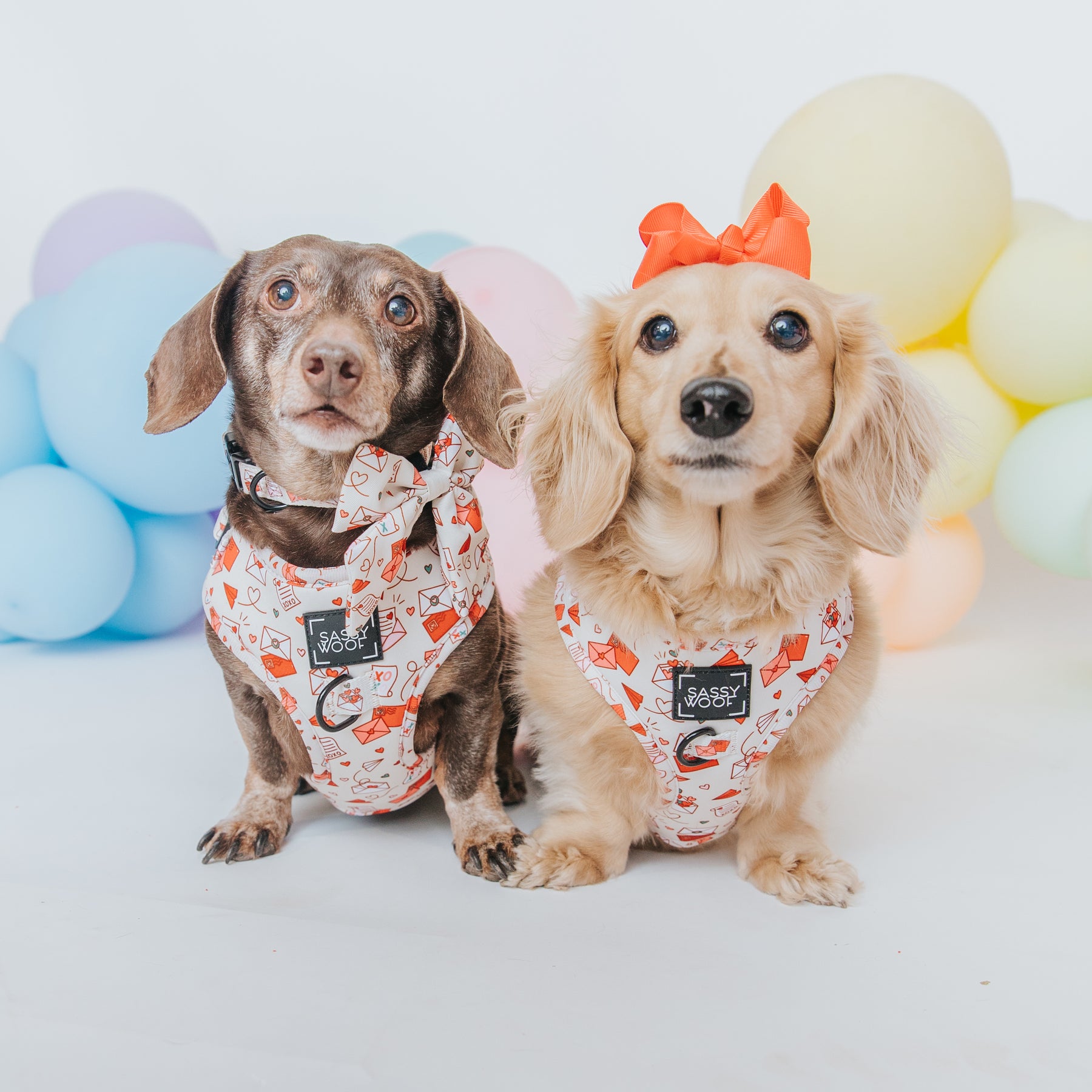 INFLUENCER_CONTENT | @MAYATHEDOX & @WINSTONTHEDOX | SIZE S
