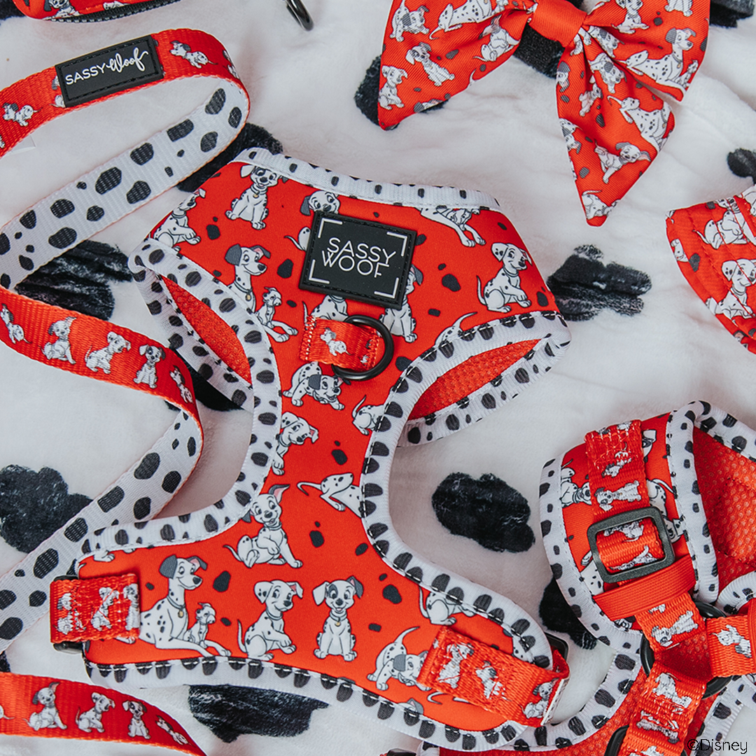 Dog Two Piece Bundle - Disney's 101 Dalmatians