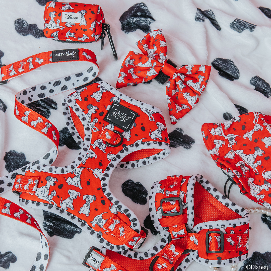 Dog Four Piece Bundle - Disney's 101 Dalmatians