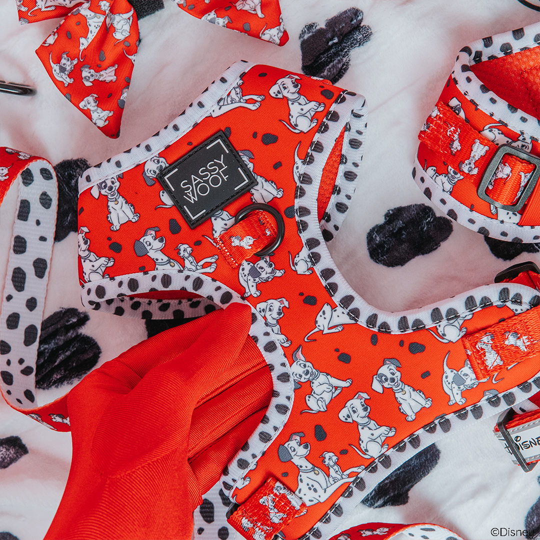 A person wearing a red glove holds a red dog harness decorated with cartoon dalmatians and a Sassy Woof label, surrounded by matching accessories on a white, black-spotted background.