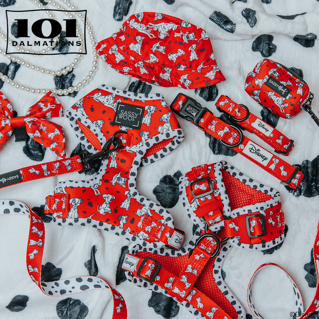 A collection of red dog accessories featuring 101 Dalmatians designs, including harnesses, collars, a leash, poop bag holder, bow tie, and a bucket hat, arranged on a white background with black paw prints.