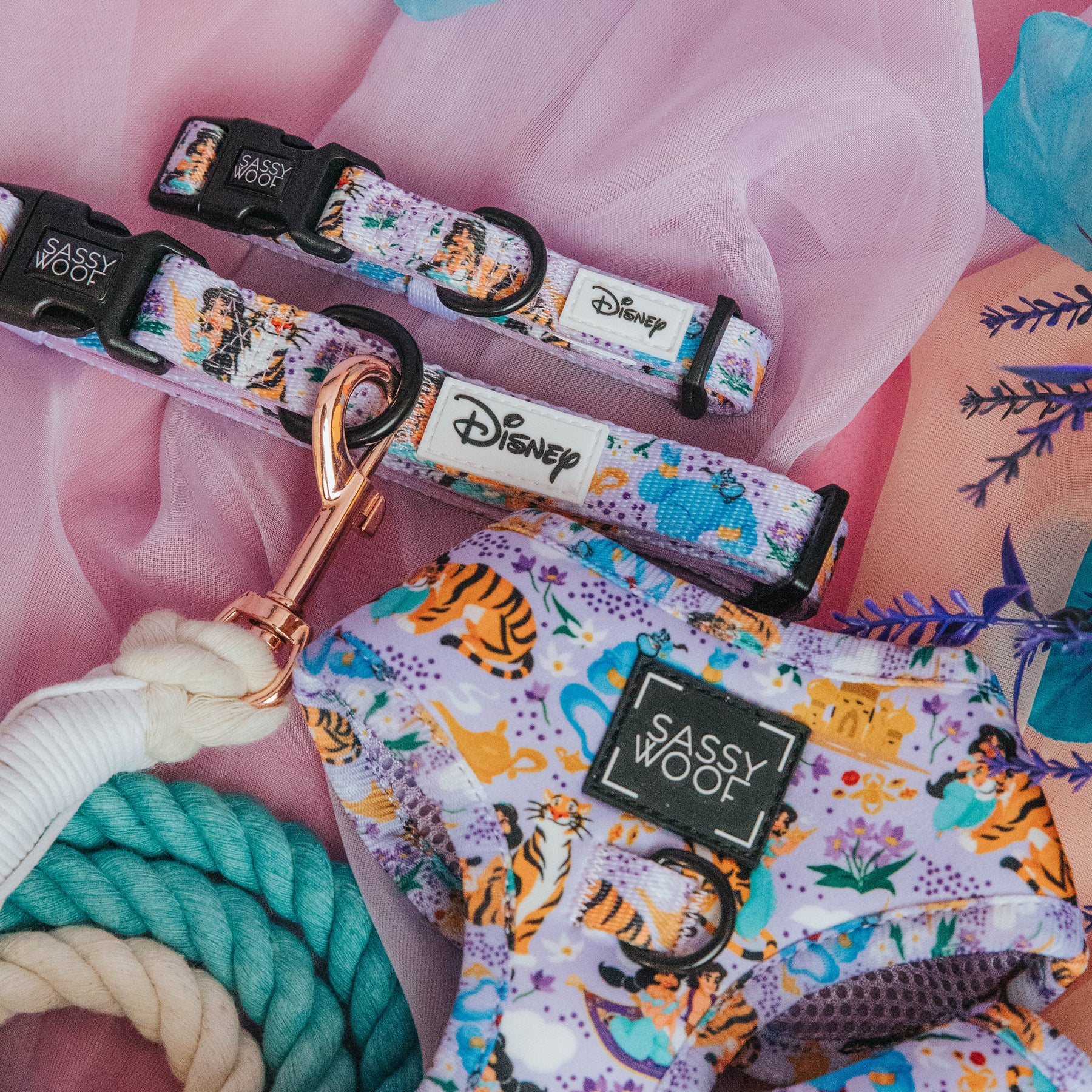 Dog Collar - Disney's Jasmine