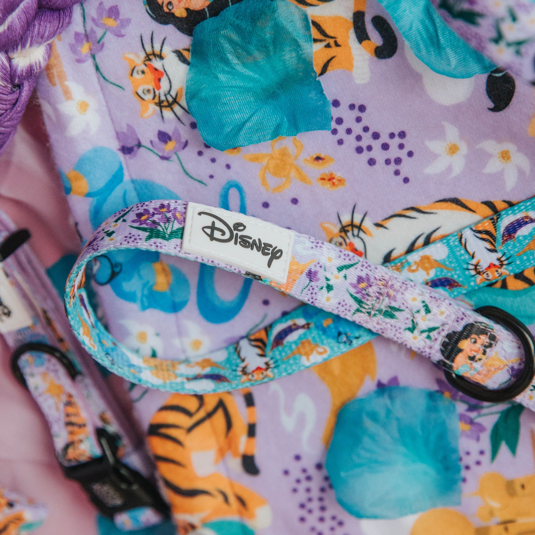 Dog Leash - Disney's Jasmine