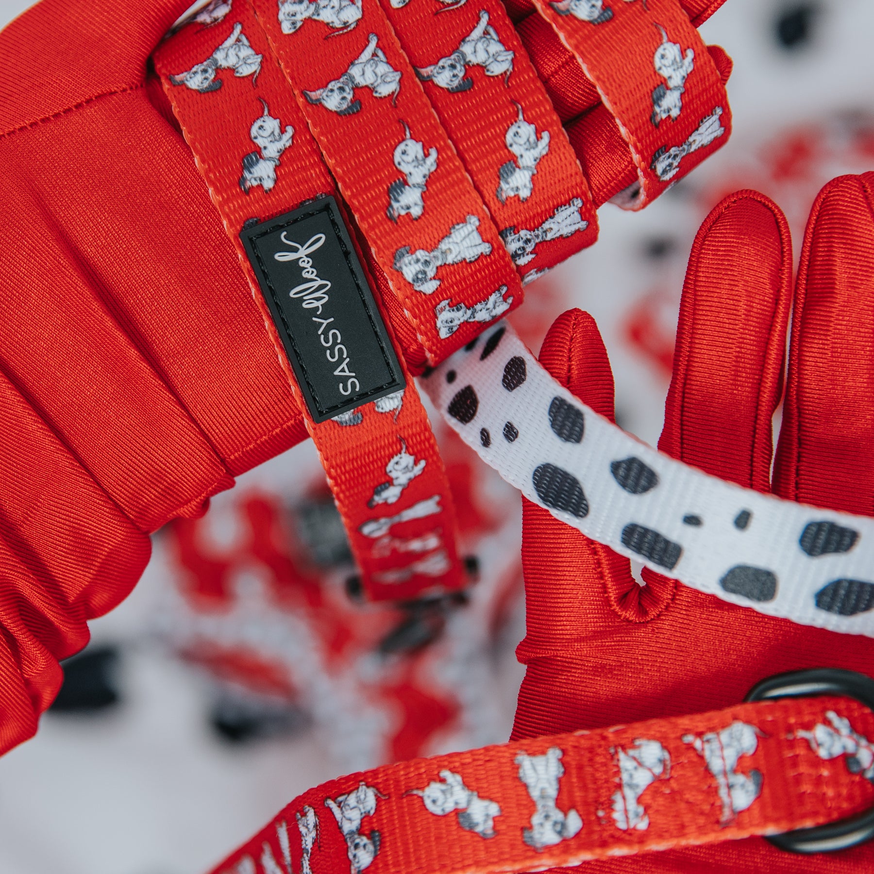 Dog Leash - Disney's 101 Dalmatians