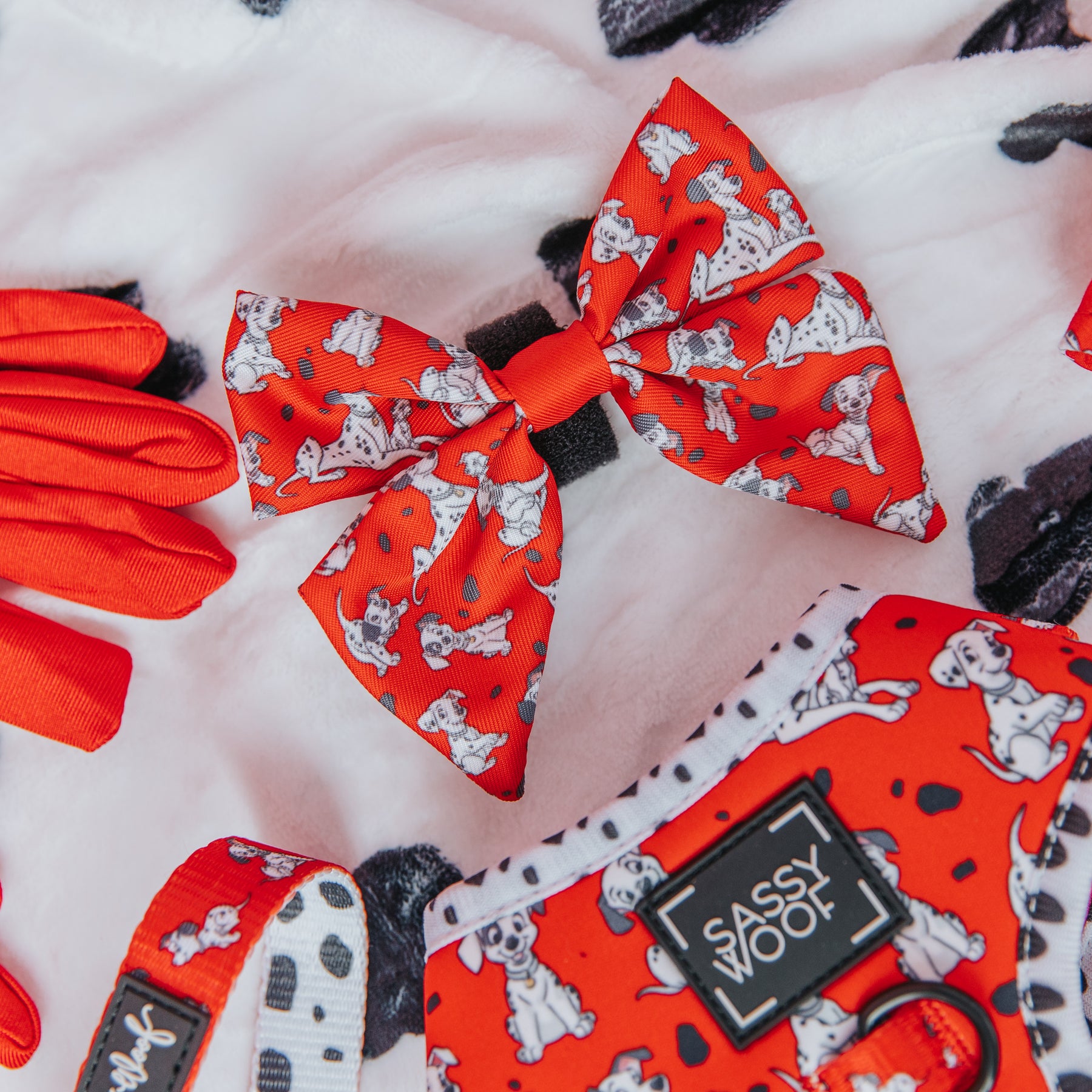 Dog Sailor Bow - Disney's 101 Dalmatians