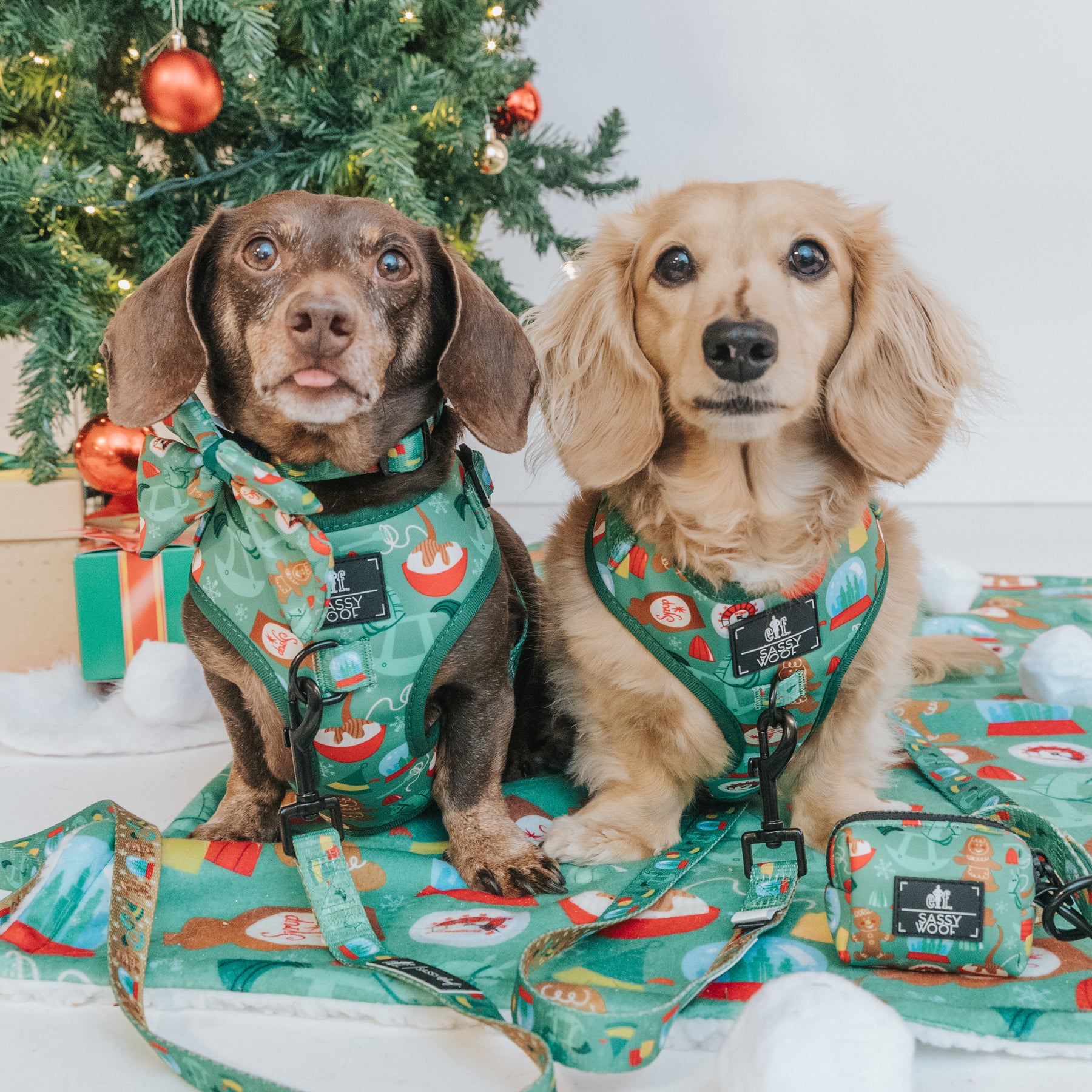 Dog Two Piece Bundle -  Elf™