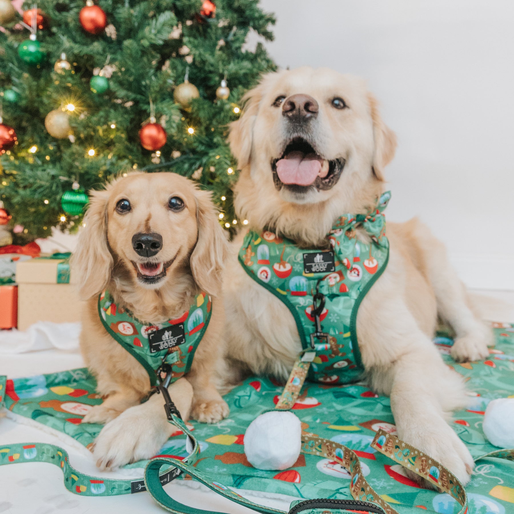 Dog Two Piece Bundle -  Elf™