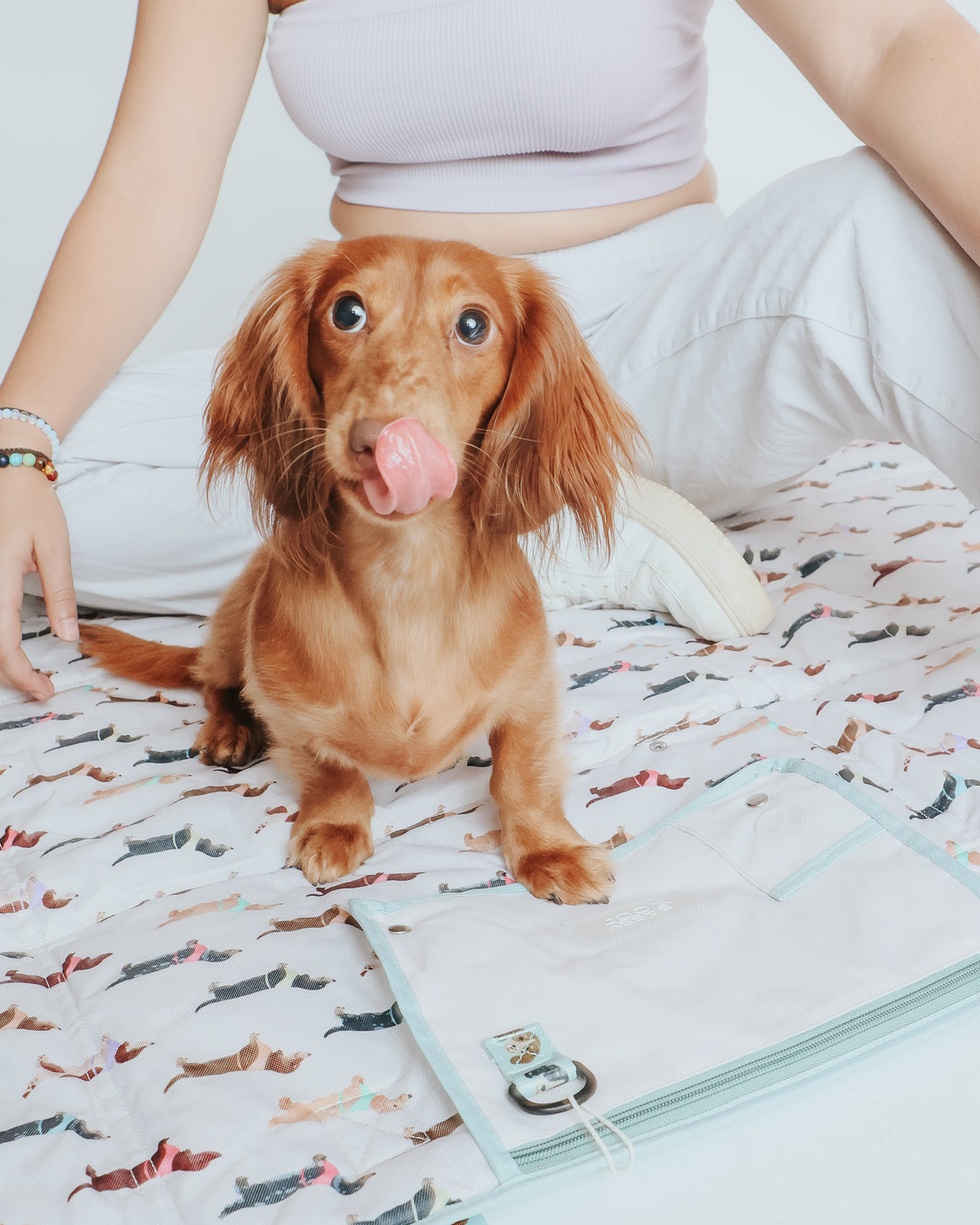 A brown dachshund sits on the Sassy Woof Dog Picnic Blanket - Dainty Dachshunds next to a person in white pants and a light purple top, with a small bag featuring a photo keychain in the foreground.
