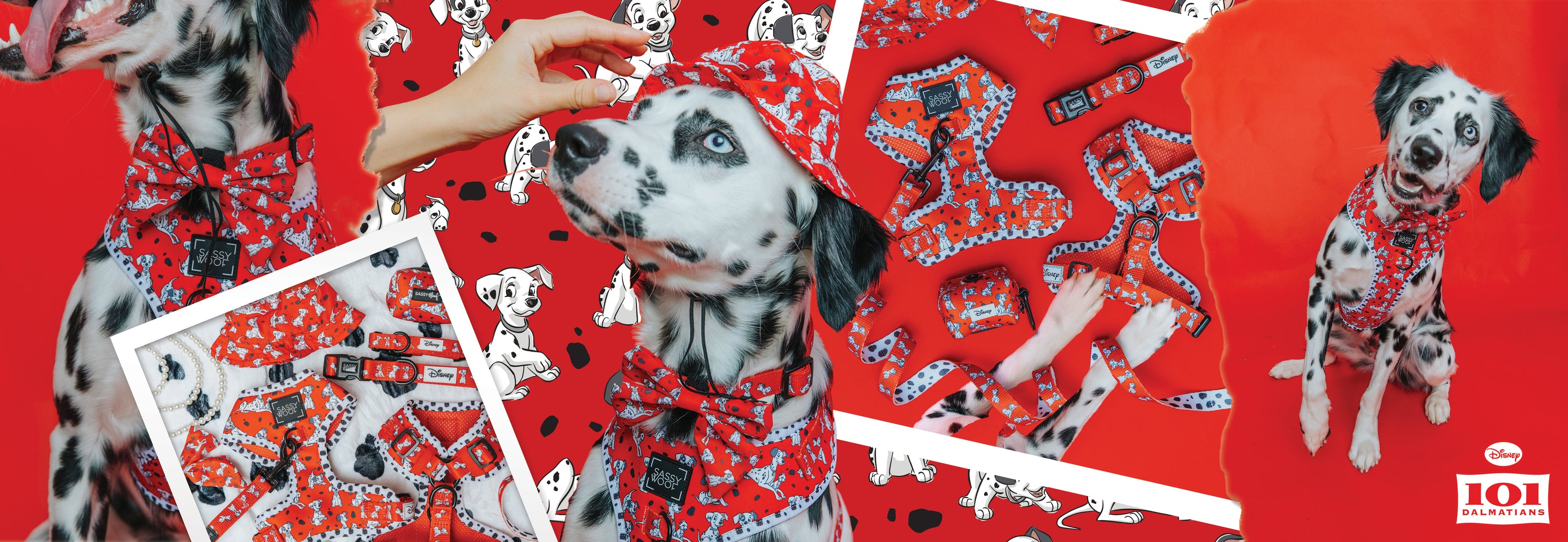 A Dalmatian puppy poses against a red backdrop with 101 Dalmatians illustrations, wearing a matching red collar, bowtie, and hat set. Pet accessories are displayed nearby. Disney 101 Dalmatians logo appears in the corner.