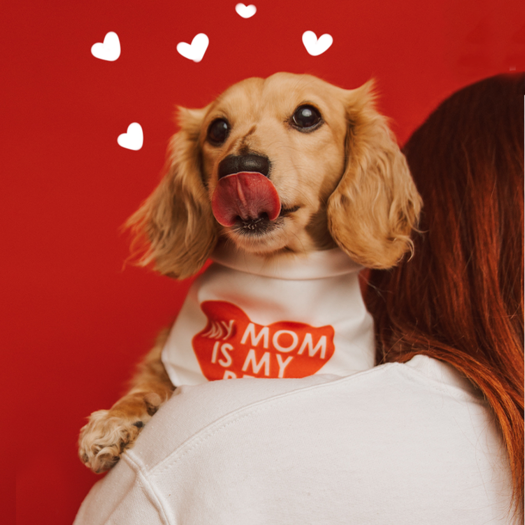 A small dog wearing a bandana that says Mom is my BFF sits on a womans shoulder against a red background, with white heart illustrations above its head. The dog is licking its nose.