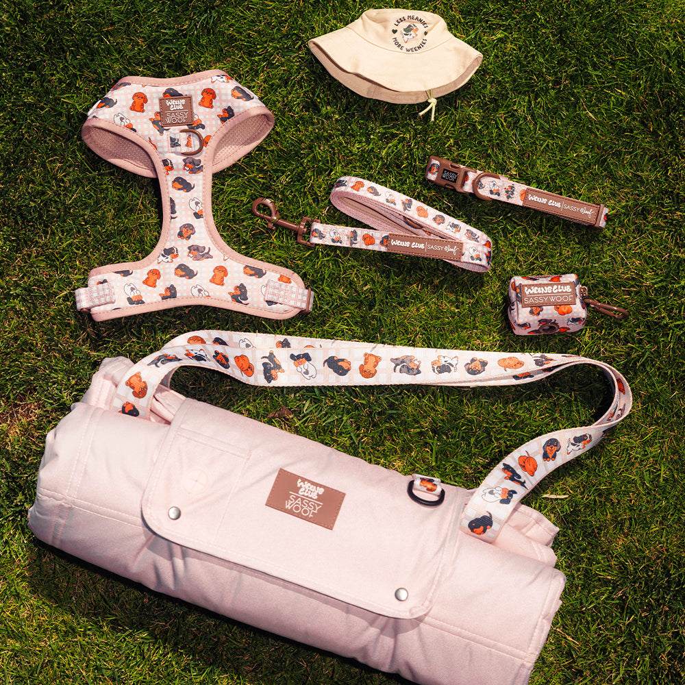 Dog Collar - Weens Club