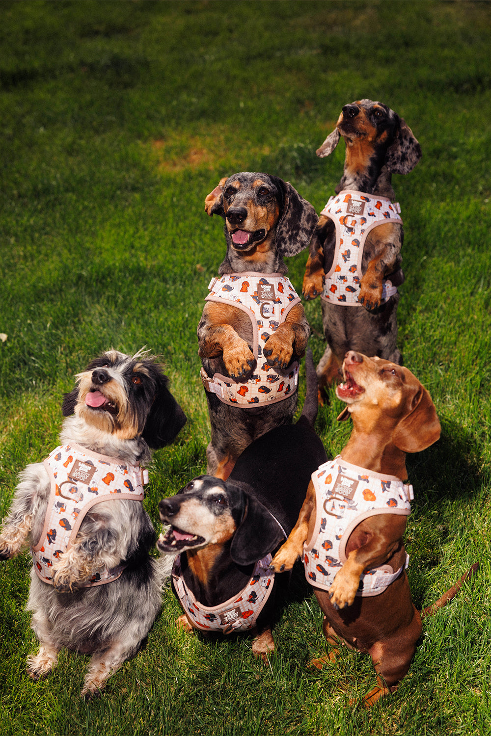 INFUENCER_CONTENT | @YUNABUGS | SIZE S-M