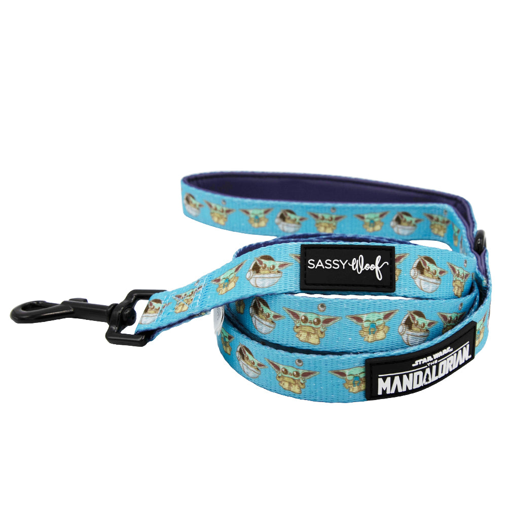 Dog Leash - STAR WARS™ The Mandalorian™