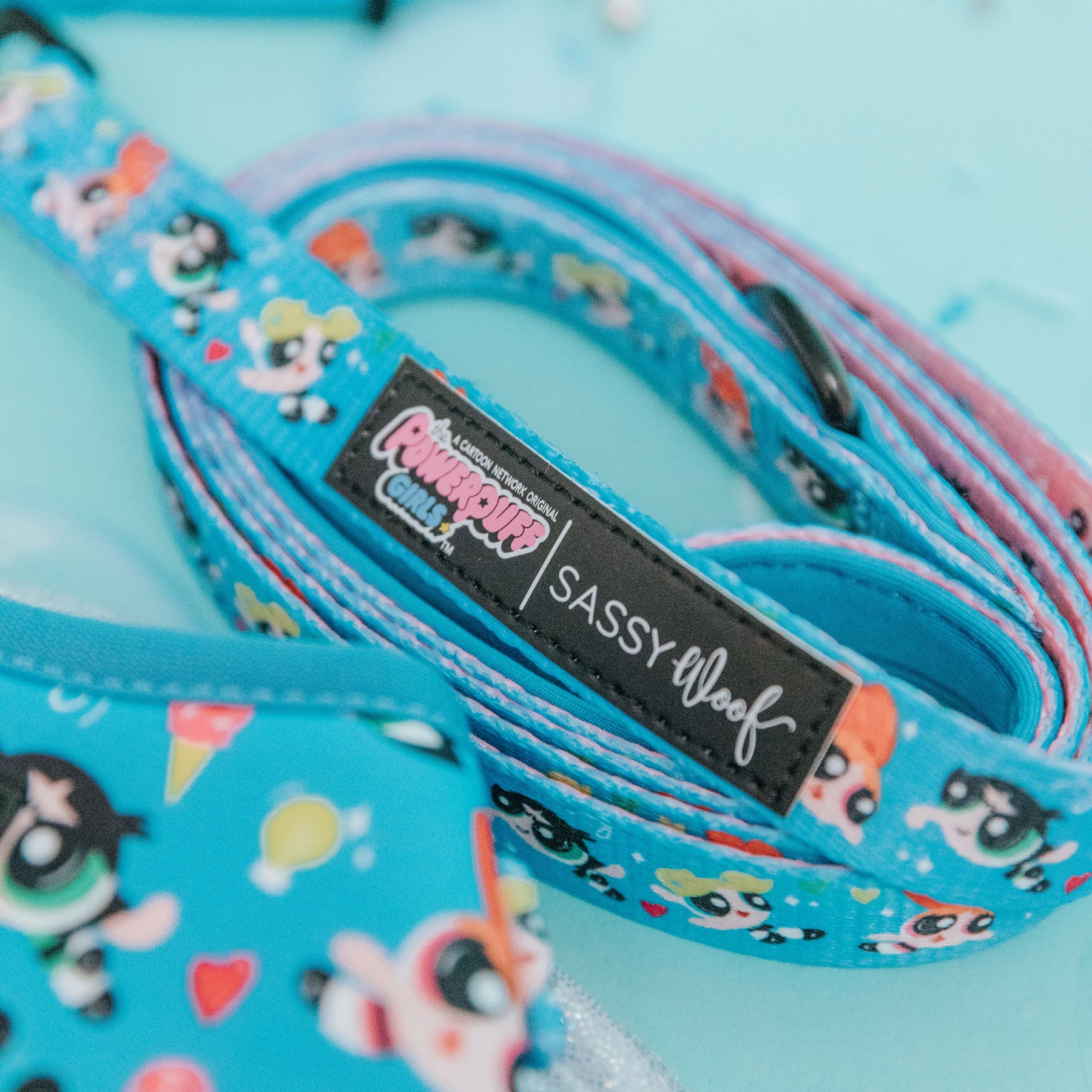 Dog Leash - The Powerpuff Girls™ (Blue)