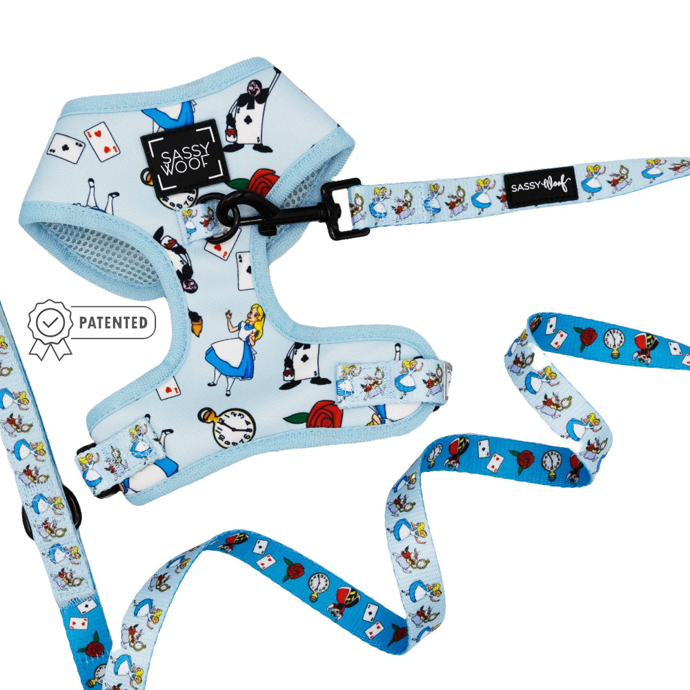 Dog Two Piece Bundle - Alice in Wonderland (Blue)