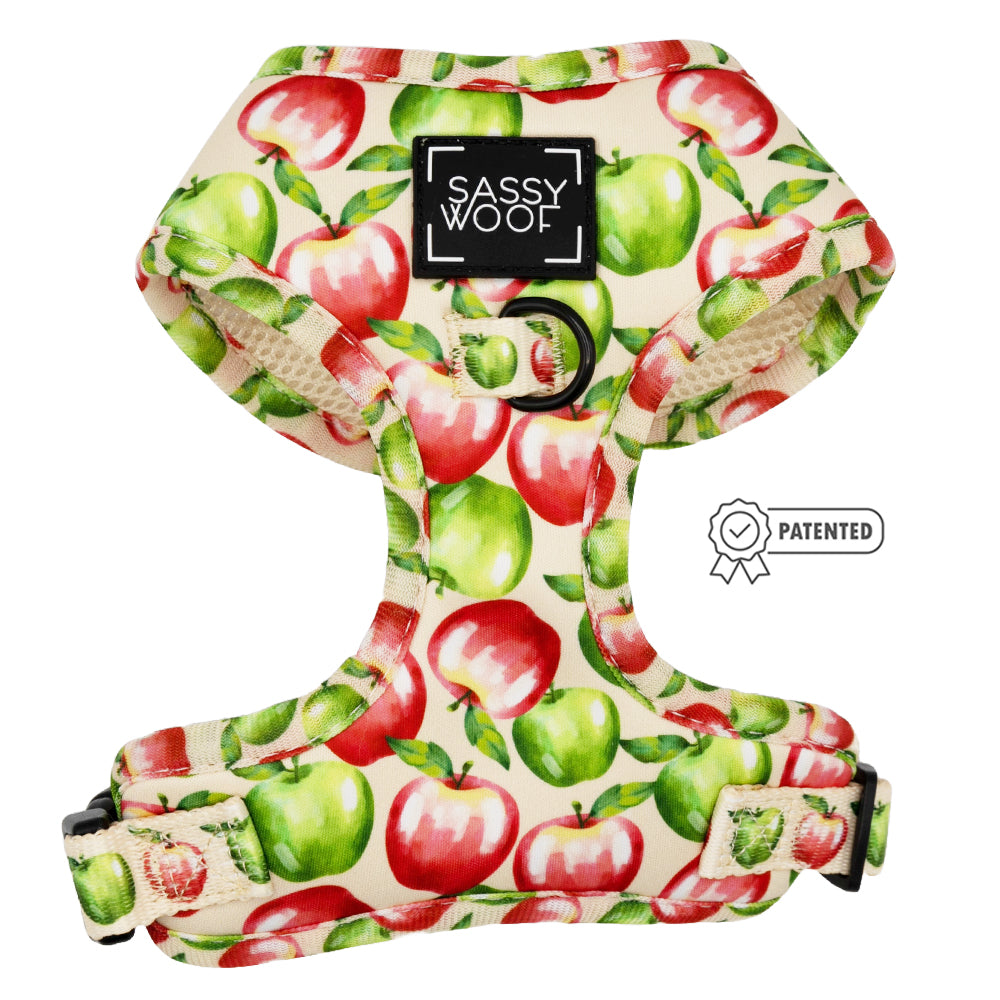 Dog Two Piece Bundle - Apple of My Eye