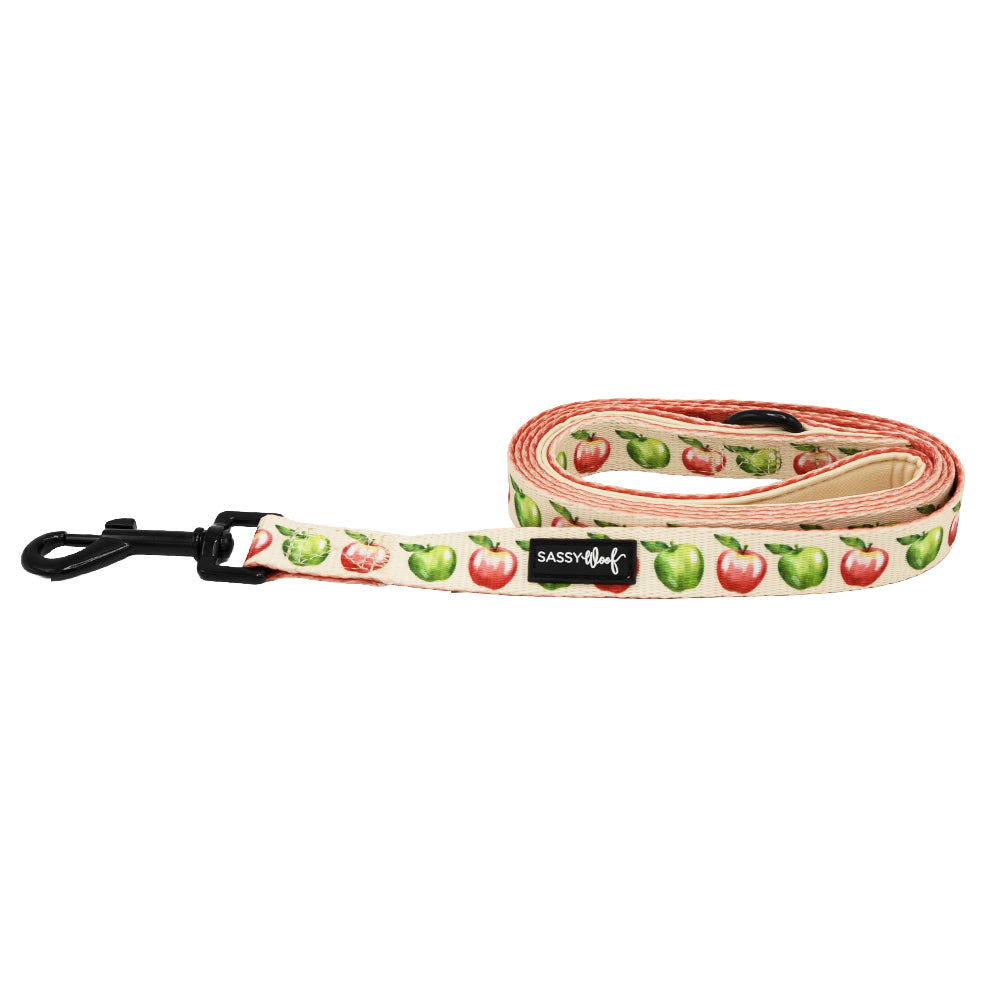 Dog Leash - Apple of My Eye
