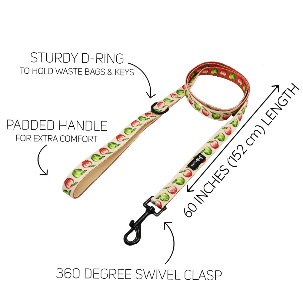 Dog Leash - Apple of My Eye