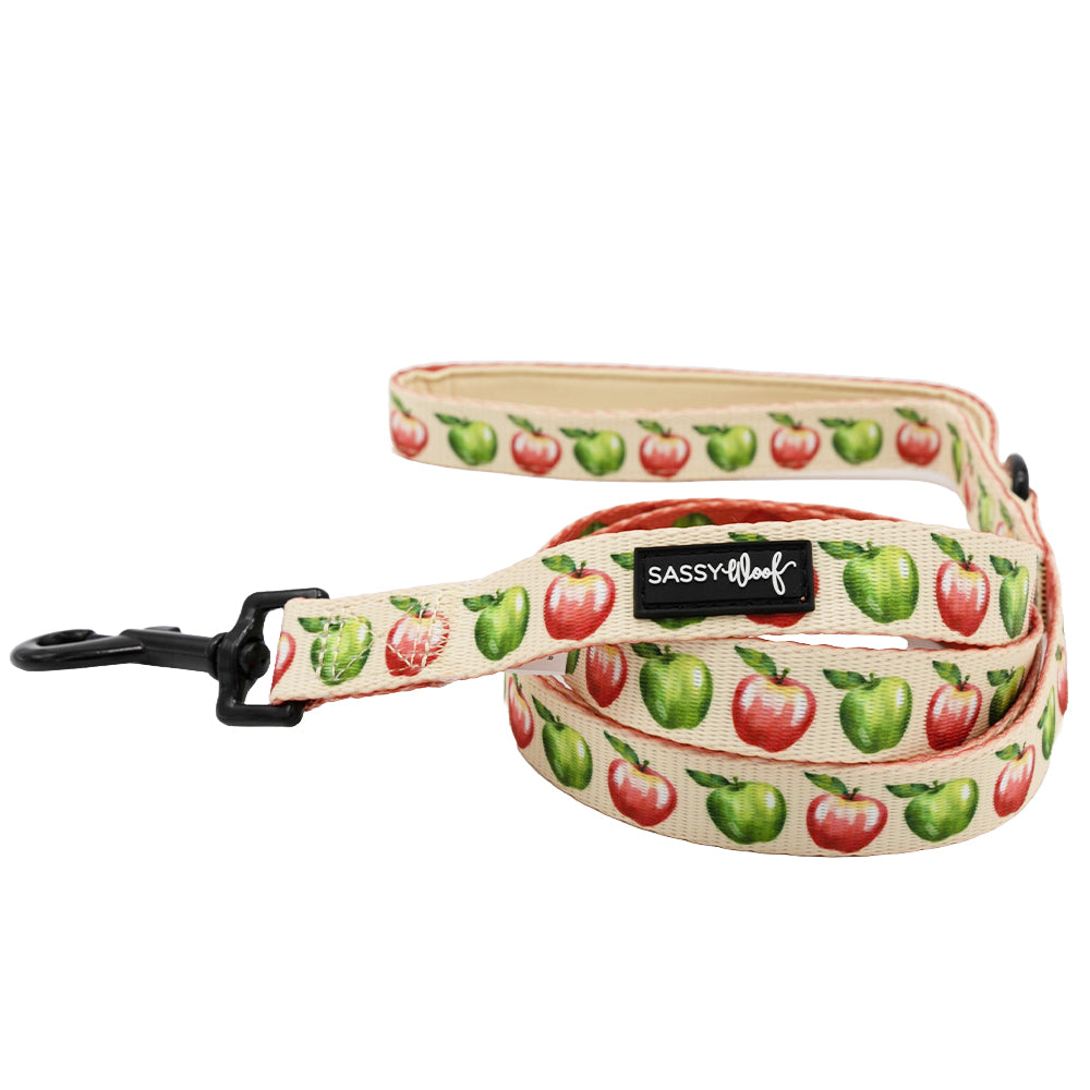 Dog Leash - Apple of My Eye