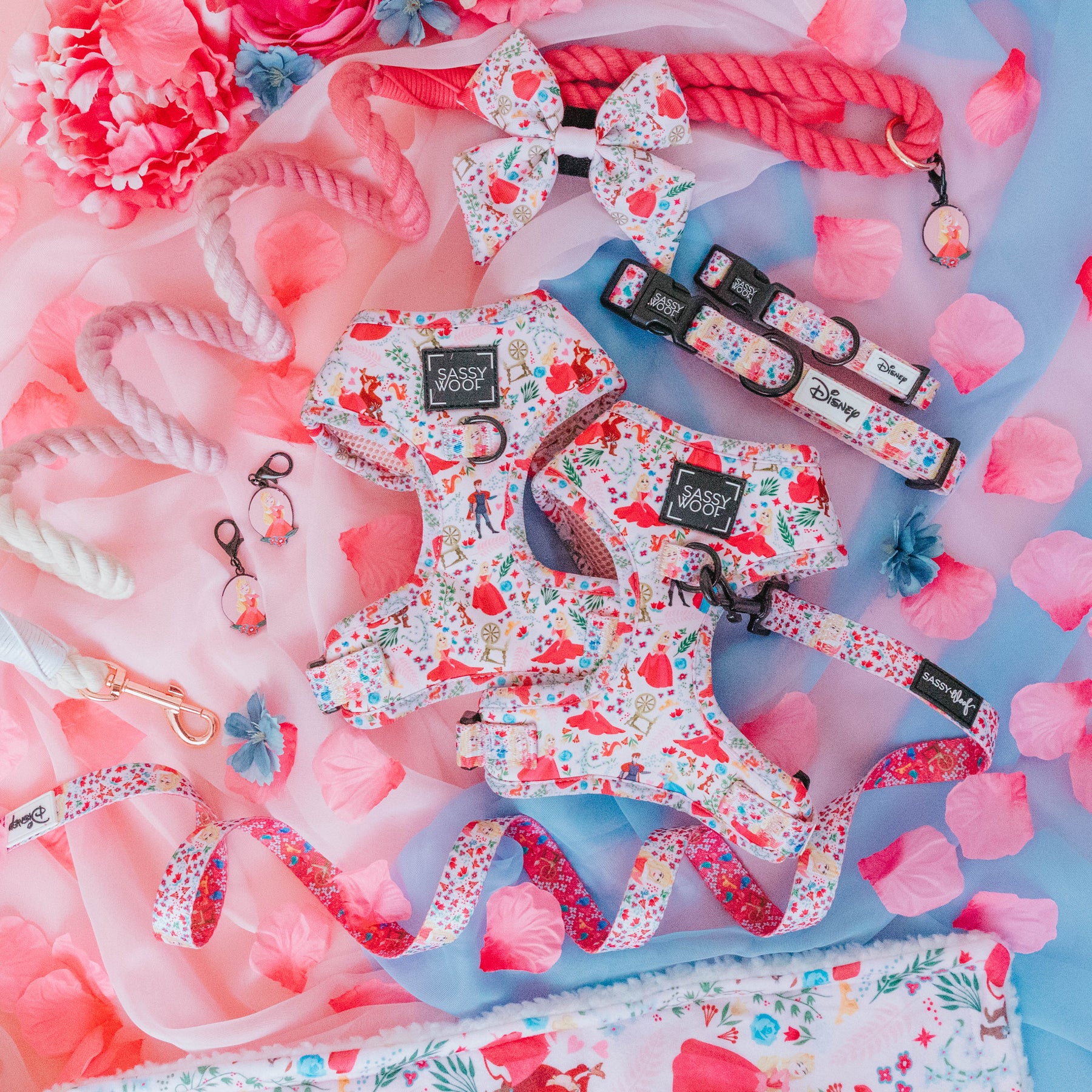 Harness Three Piece Bundle - Disney's Aurora