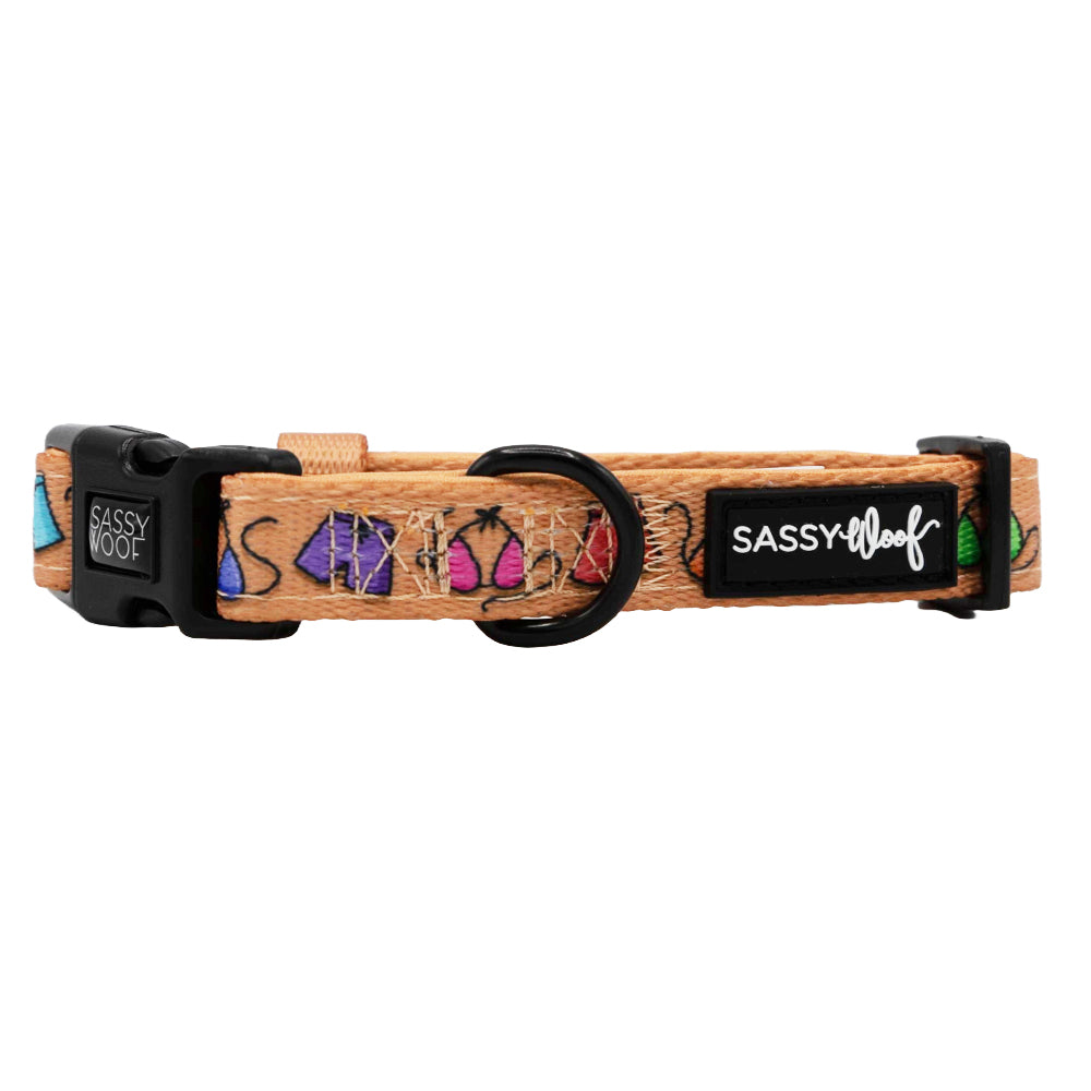 Dog Collar - Beach Bod