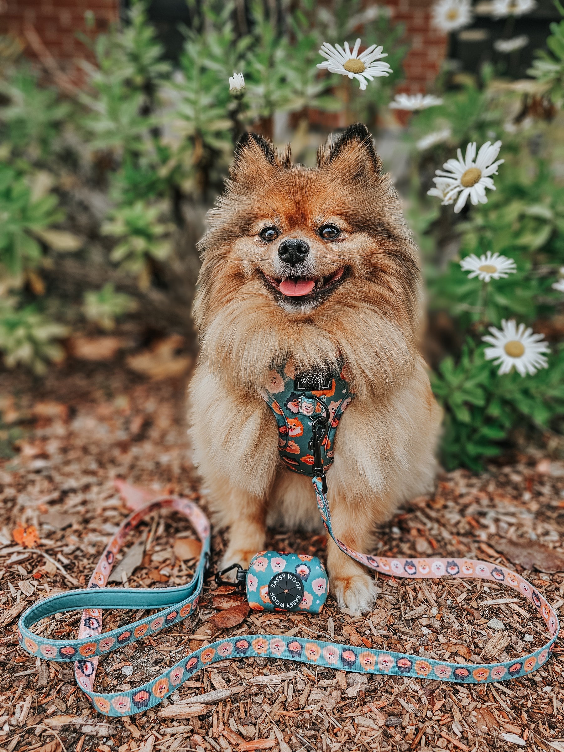 INFLUENCER_CONTENT | @BELLA.BEAR.POM | SIZE XS
