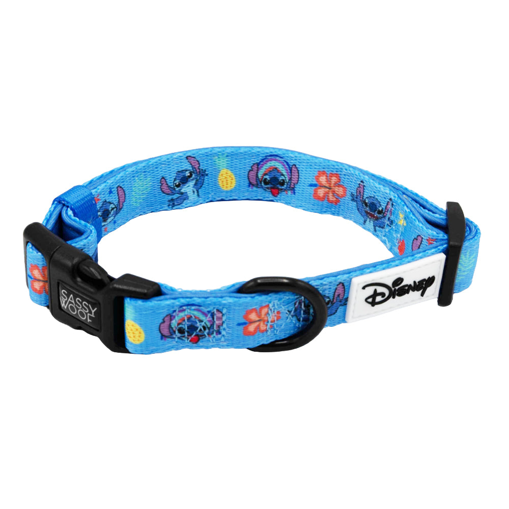 Walmart May 2025 Dog Collar - Stitch Stamp