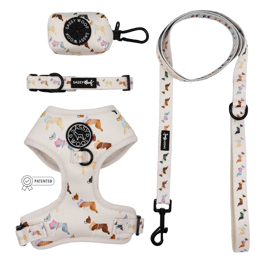 Dog Four Piece Bundle - Bold Boston Terriers