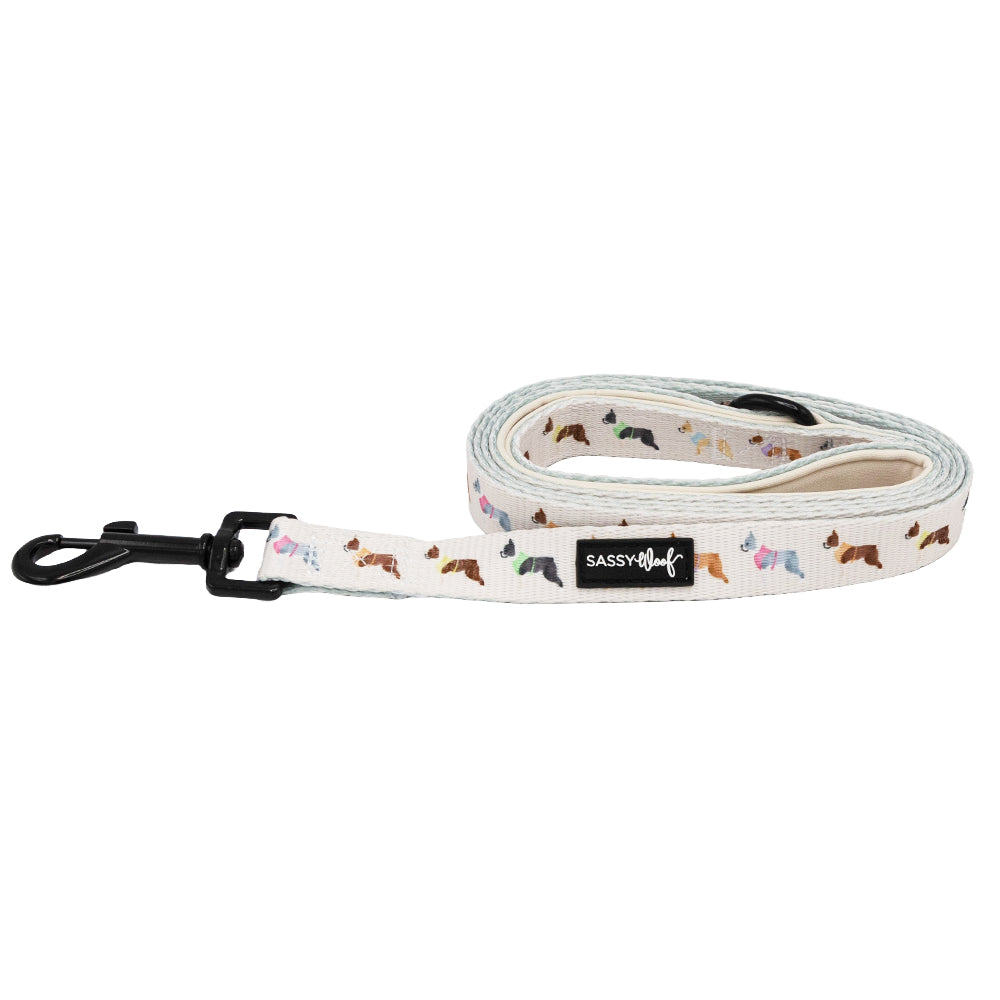 Dog Leash - Bold Boston Terriers