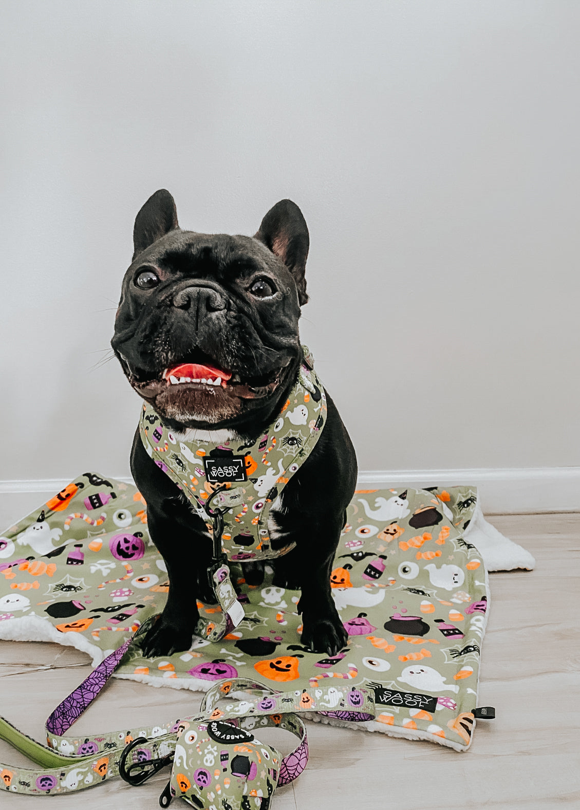 Dog Waste Bag Holder - Haunt Mess