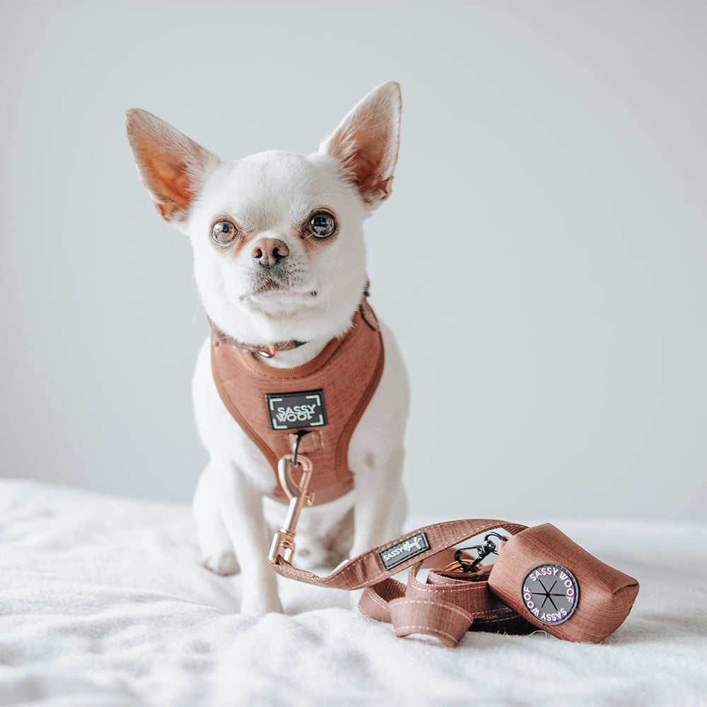 Dog Waste Bag Holder - Teddy