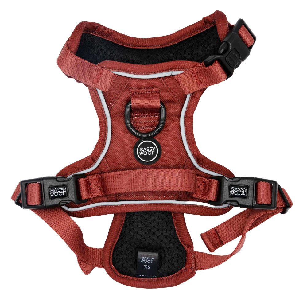 The Sassy Woof Dog Step-in Harness in Burgundy, size XS, features adjustable black buckles, a padded chest plate, metal leash ring, and reflective trim for visibility—a great reflective dog harness for your pup.