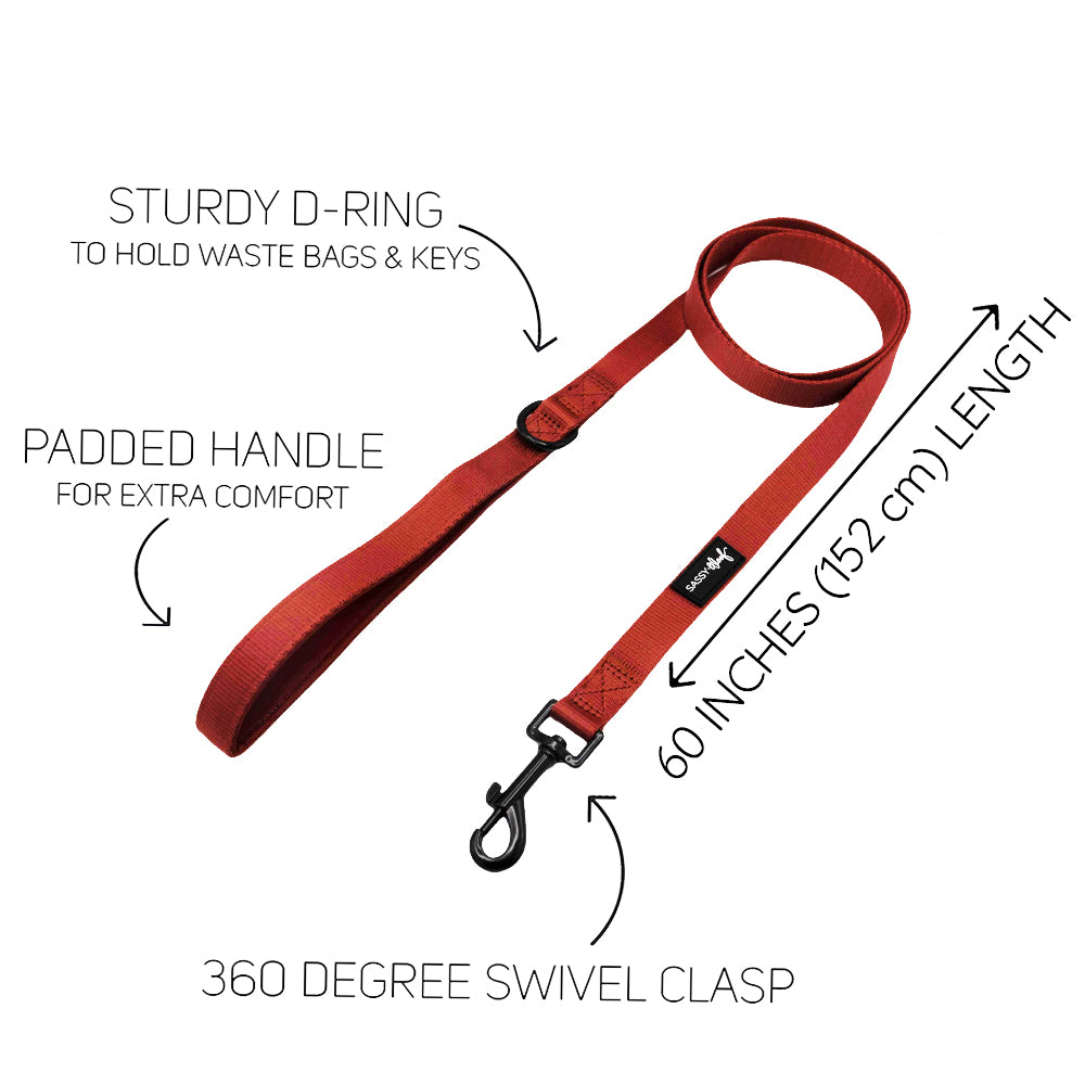 Dog Leash - Burgundy