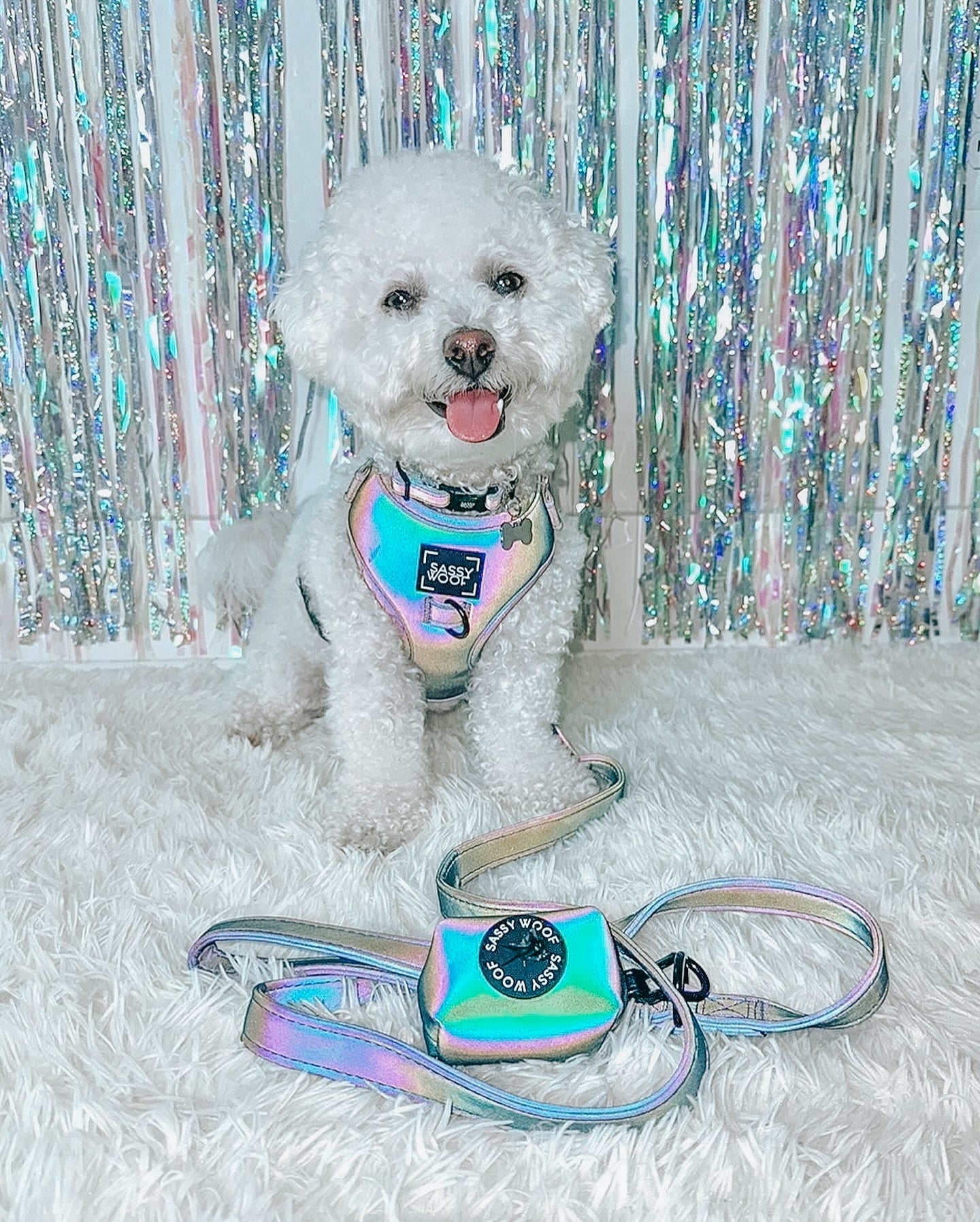 INFLUENCER_CONTENT | @BINGSUTHEBICHON | SIZE XS