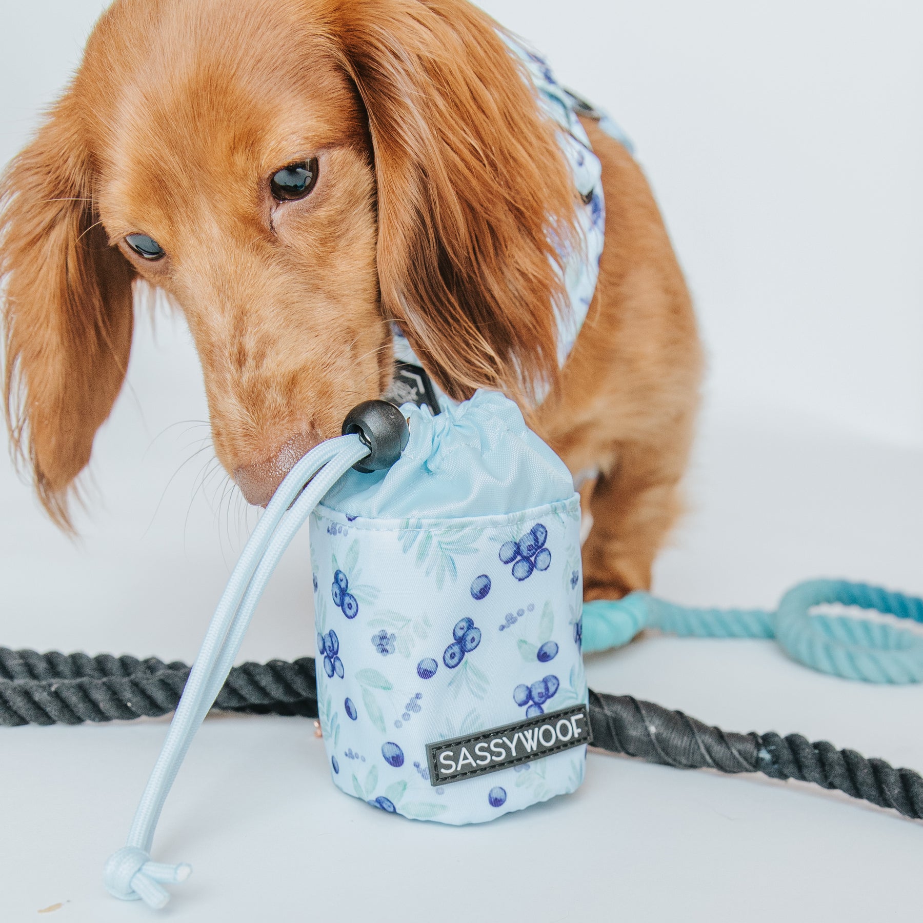 Treat Pouch - Berry Sassy