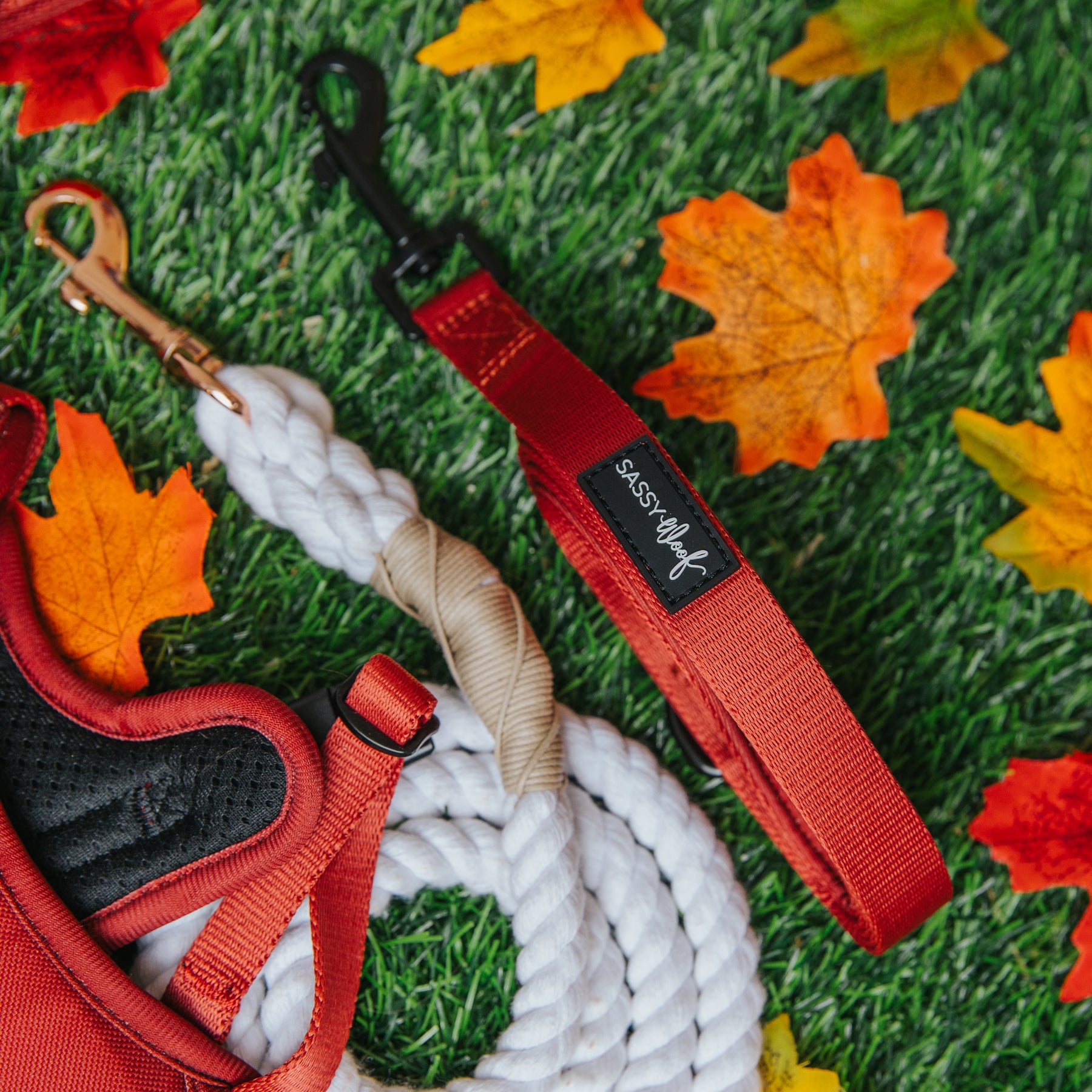 Dog Leash - Burgundy