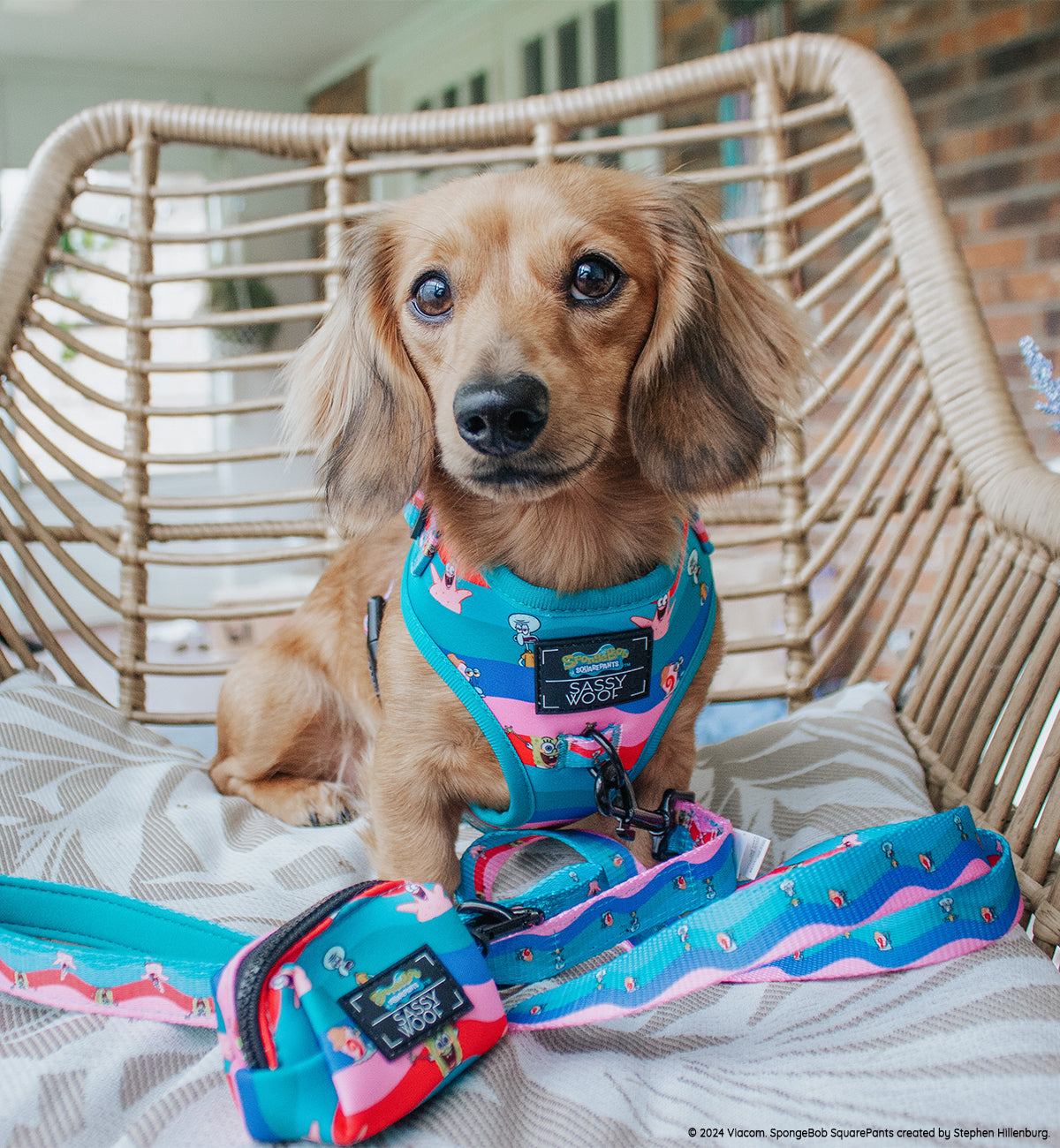 INFLUENCER_CONTENT | @CALLIETHESAUSAGE