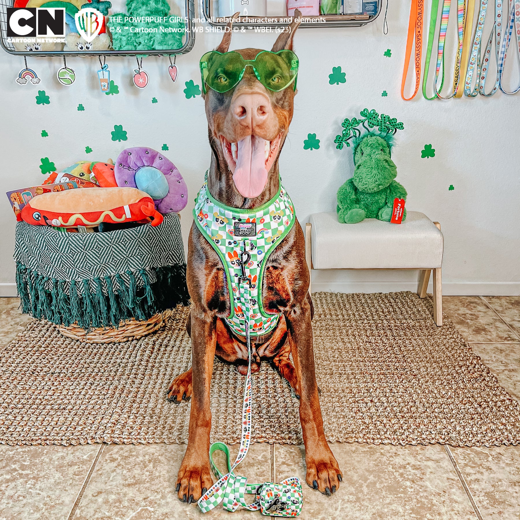 Dog Two Piece Bundle - The Powerpuff Girls™ (Green)