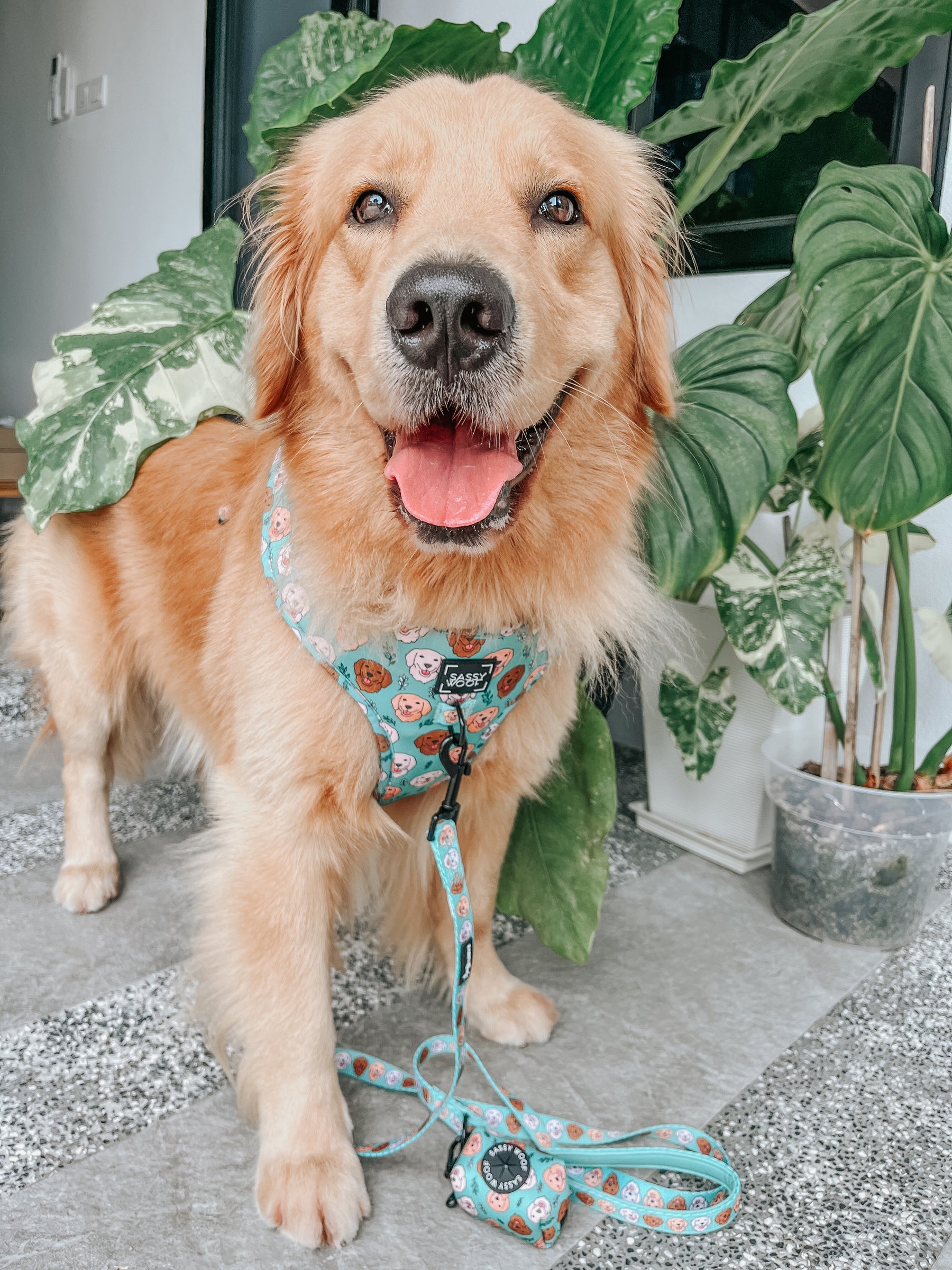 Waste Bag Holder - Glam Goldens