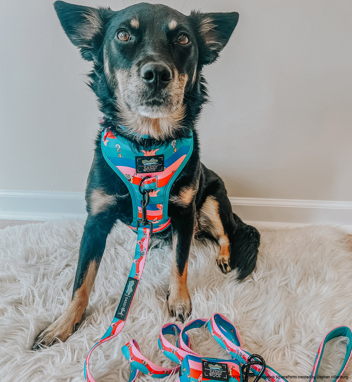 INFLUENCER_CONTENT | @CHAITOTHERESCUE