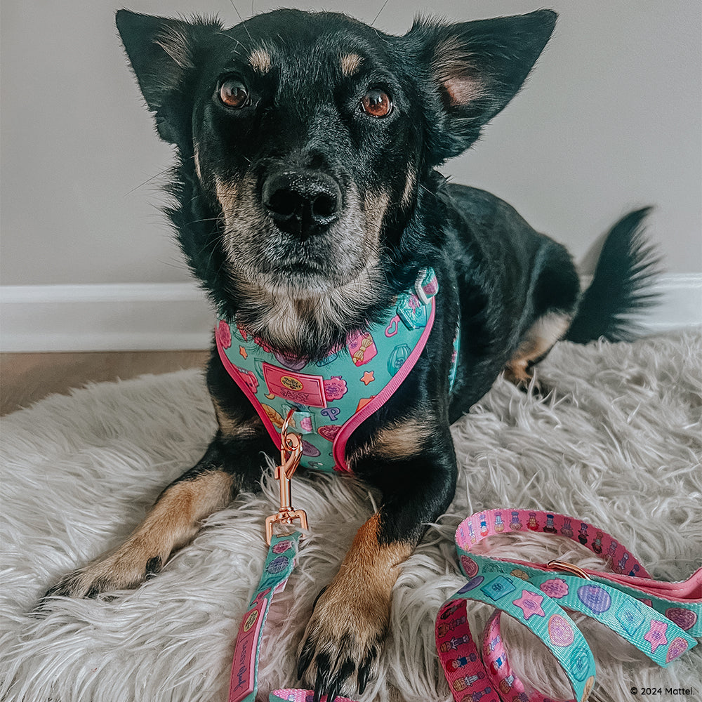INFLUENCER_CONTENT | @CHAITOTHERESCUE