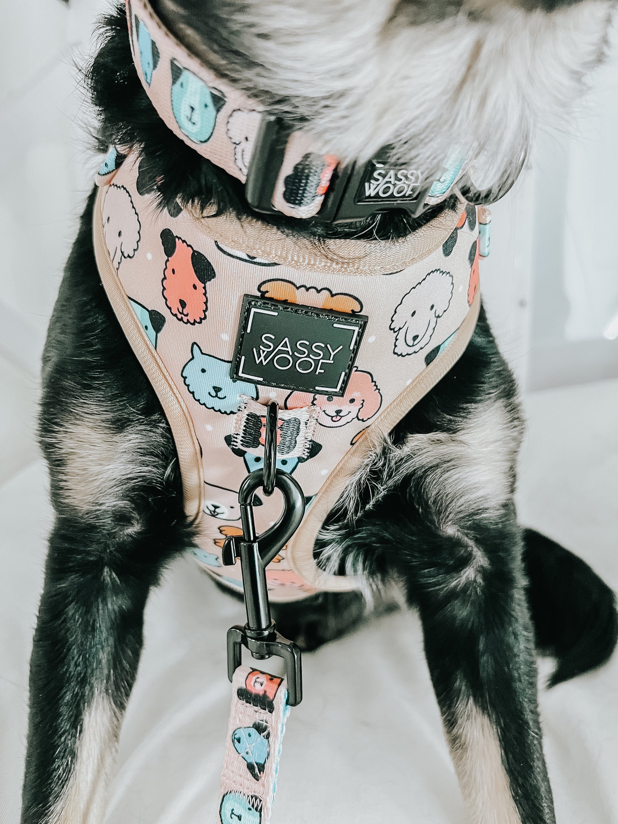 INFLUENCER_CONTENT | @CHAITOTHERESCUE | SIZE M & S