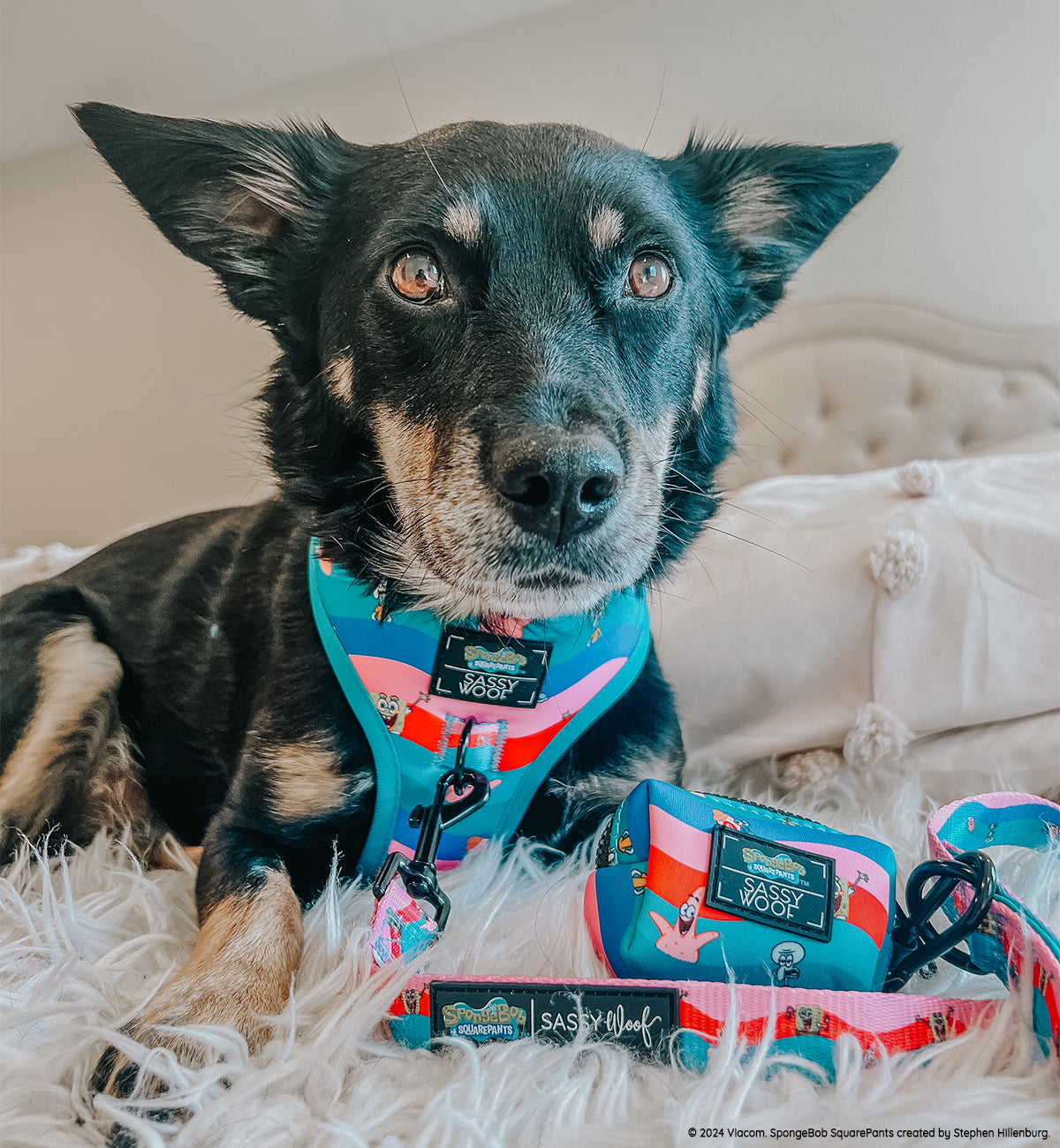 INFLUENCER_CONTENT | @CHAITOTHERESCUE