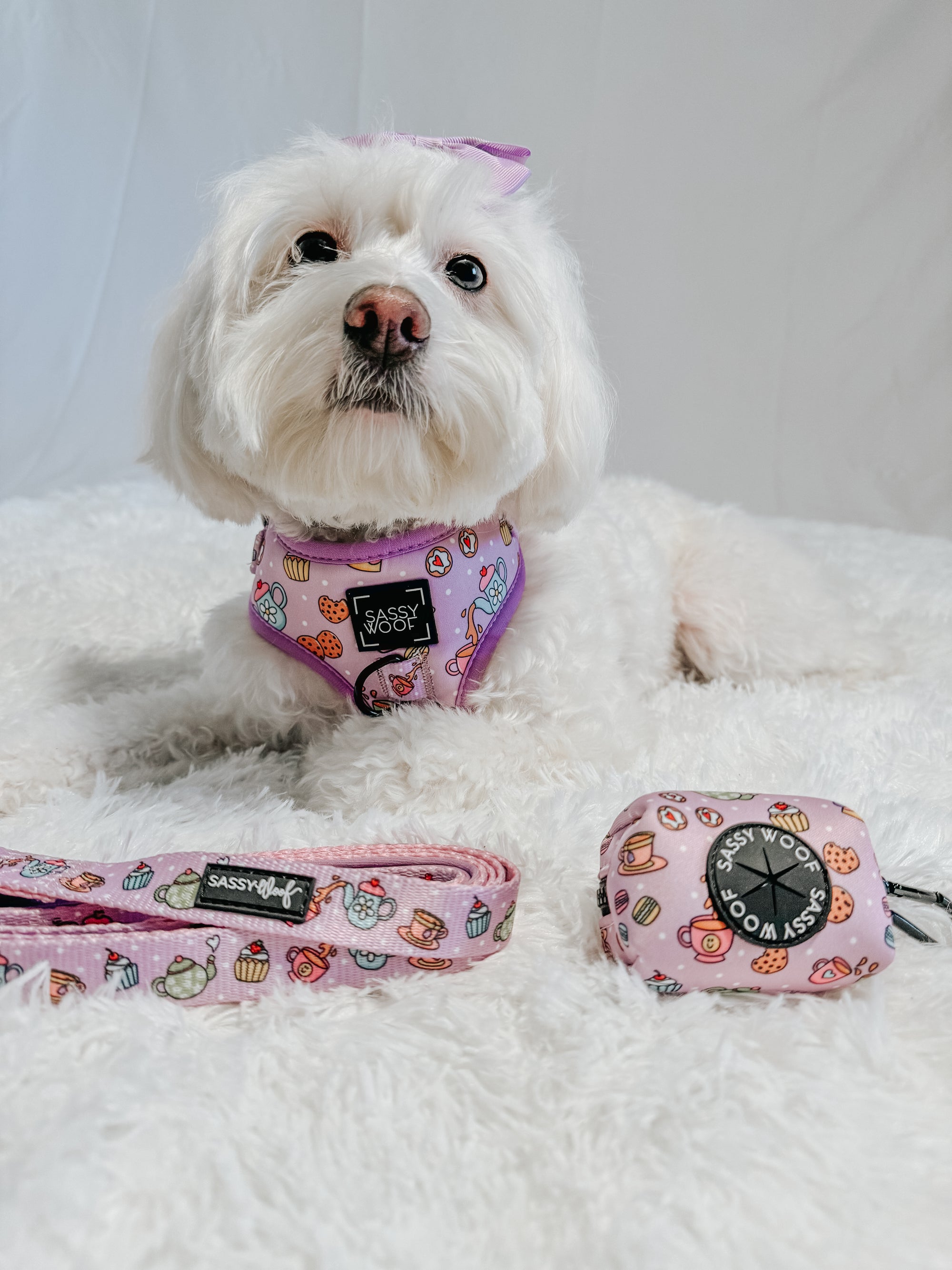 INFLUENCER_CONTENT | @CHLOE_THE_MALTIPOO22 | SIZE S & S