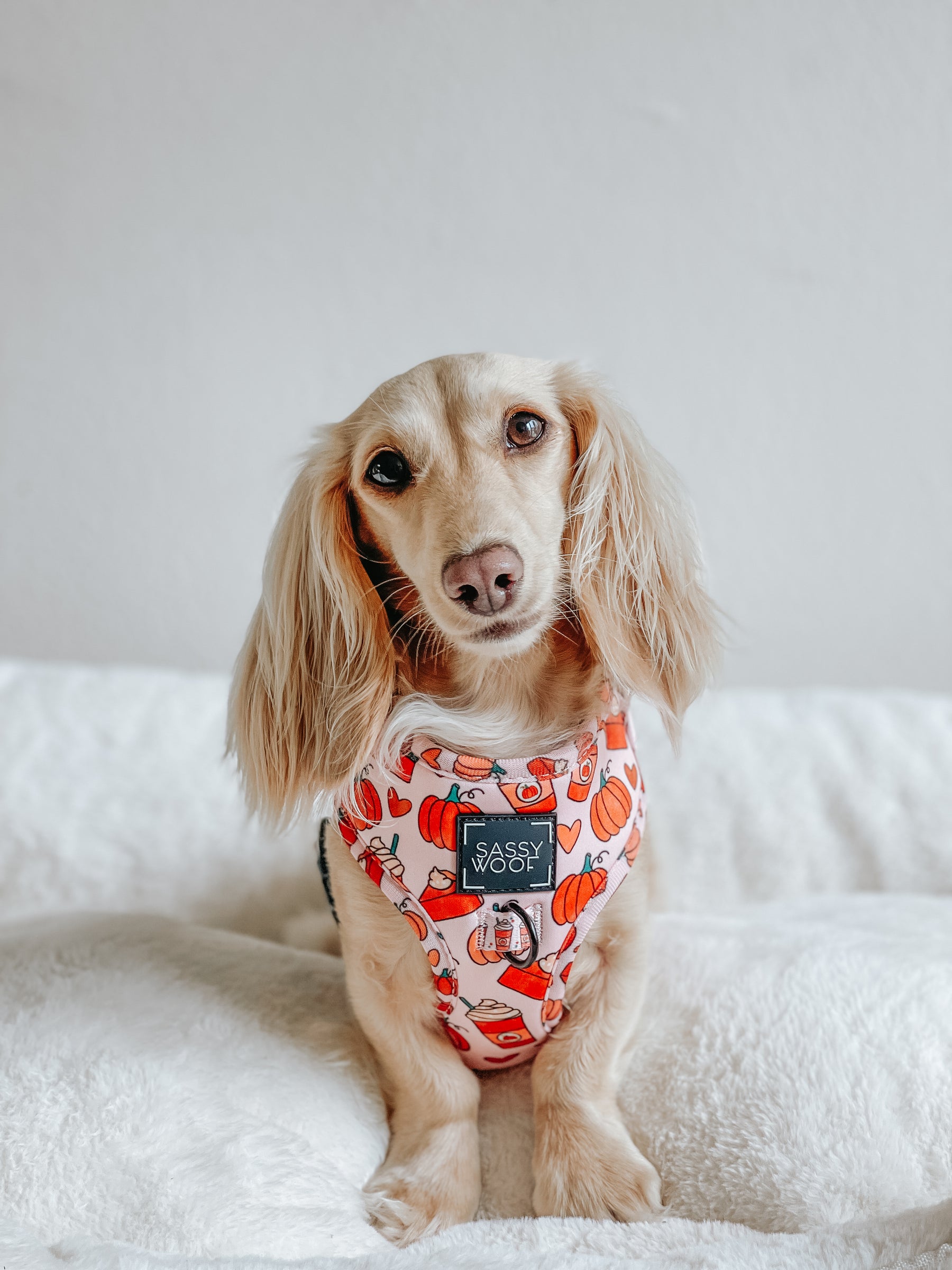 INFLUENCER_CONTENT | @CLEMENTINETHEDOX | SIZE XS