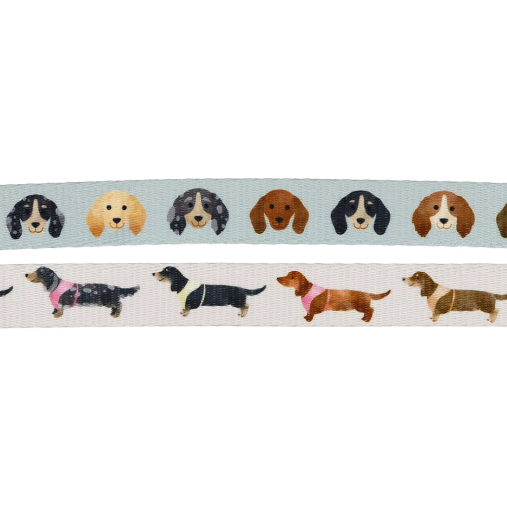 Dog Leash - Dainty Dachshunds